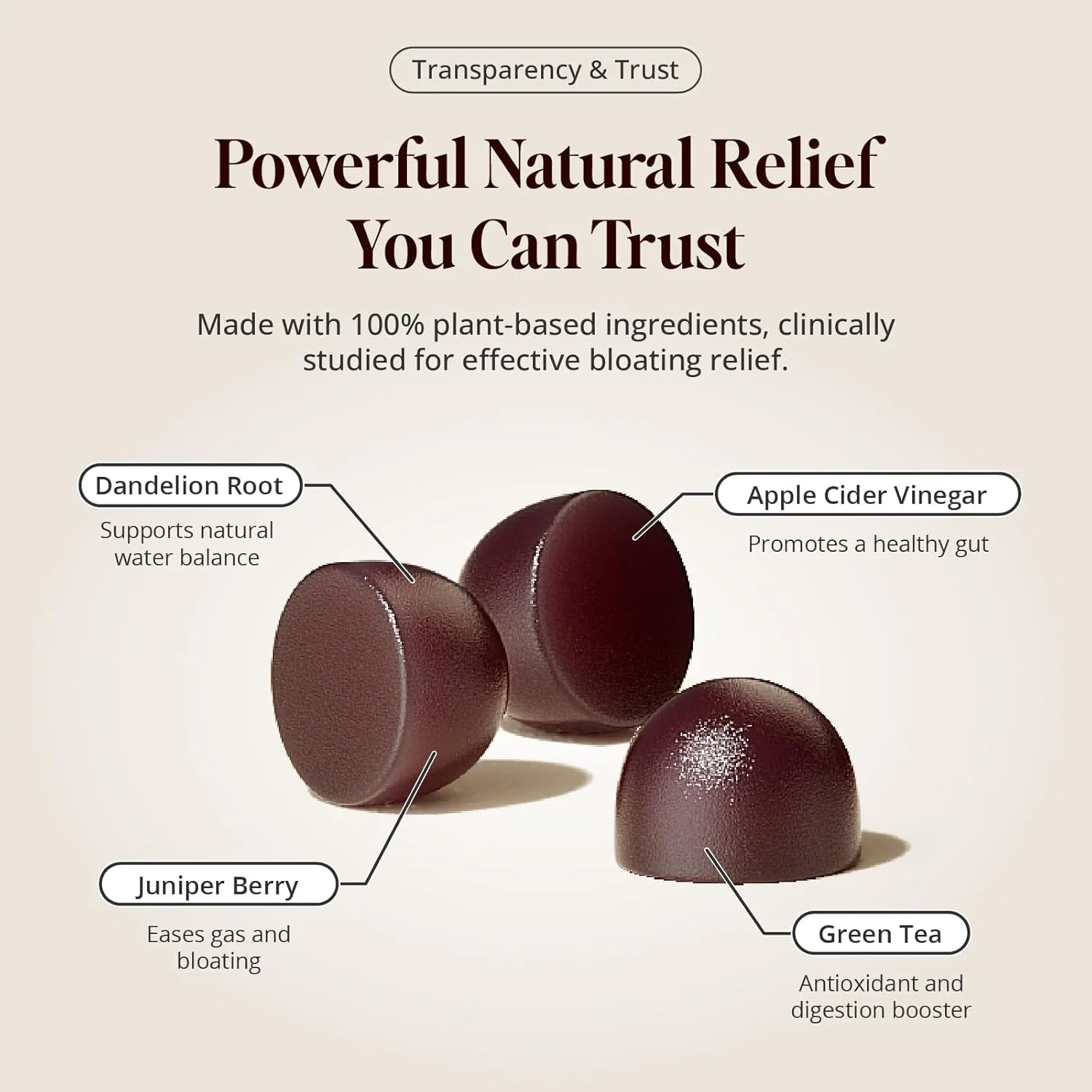 پاستیل ضد نفخ - تسکین سریع نفخ و گاز - پشتیبانی گیاهی از دستگاه گوارش با سرکه سیب، قاصدک و چای سبز - احساس سبکی، راحتی و انرژی - 60 پاستیل