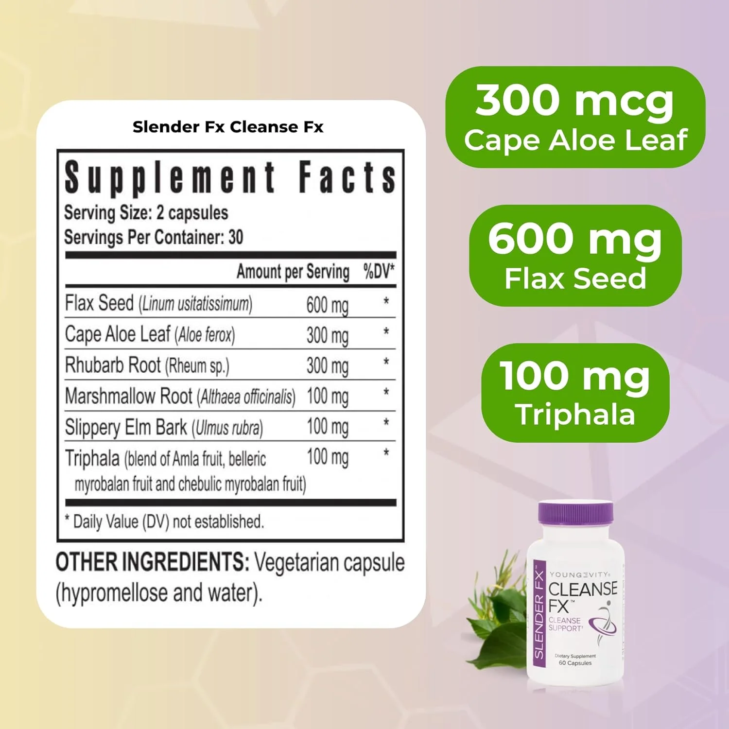پاک کننده روده اسلندر اف ایکس™ یانگیویتی - پاکسازی فوق العاده روده بزرگ 15 روزه - ترکیب گیاهی طبیعی - دانه کتان، آلوئه کیپ، ریشه ریواس، تری فالا، نارون لغزنده، ریشه ختمی - 60 کپسول (بسته 4 عددی)