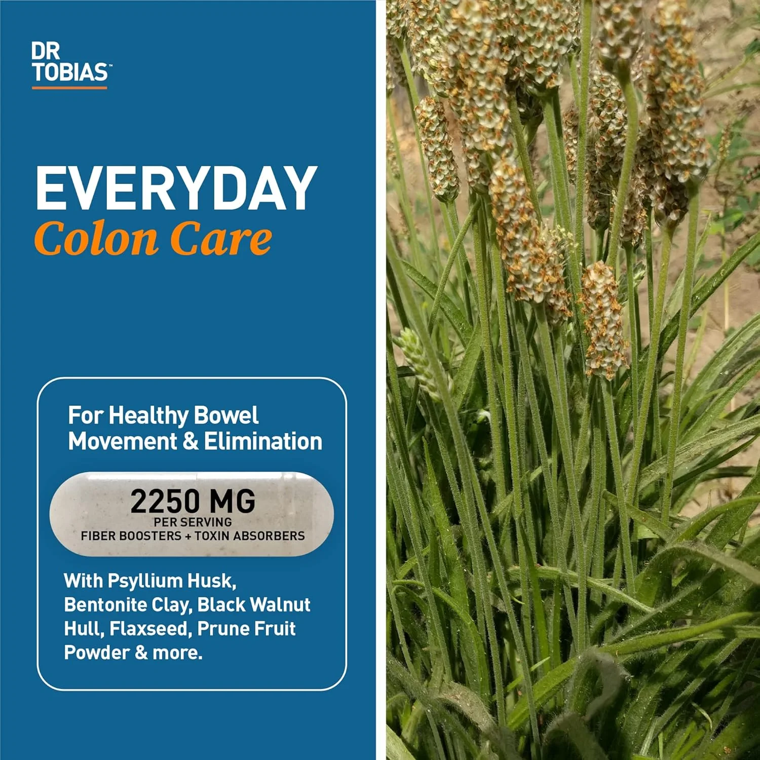 دکتر توبیاس پسیلیوم دیلی، پشتیبانی از حرکات منظم روده، کپسول های پسیلیوم هاسک با خاک رس بنتونیت، تخم کتان و مواد طبیعی، مکمل فیبر روزانه در حمایت از سلامت روده بزرگ، 180 کپسول