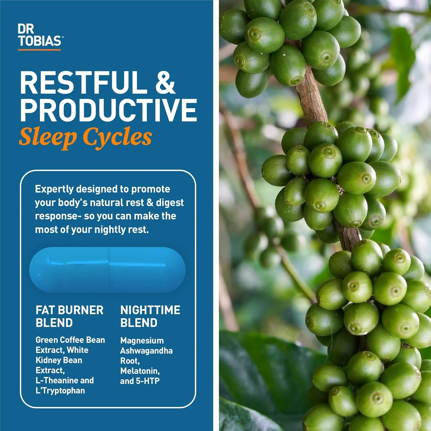 دکتر توبیاس چربی سوز شبانه و مولتی ویتامین با عصاره آشواگاندا، پشتیبانی از انرژی، ایمنی و متابولیسم. حاوی 42 میوه و سبزیجات با پروبیوتیک، عصاره دانه قهوه سبز، غیر GMO، مناسب برای 30 روز
