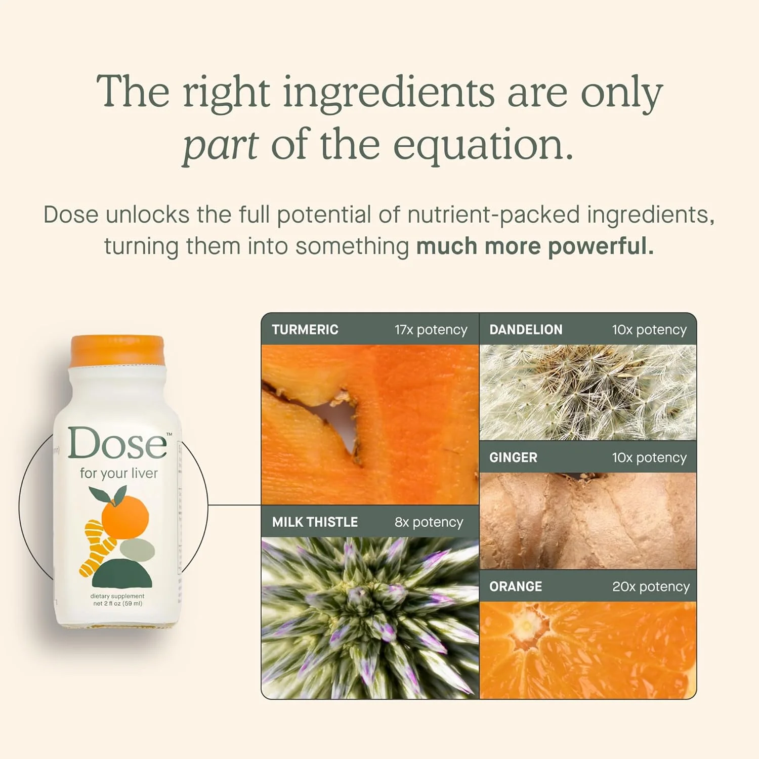 نوشیدنی پاک کننده، سم زدا و ترمیم کننده کبد، تهیه شده با خار مریم ارگانیک، زردچوبه، قاصدک، زنجبیل و پرتقال، پشتیبانی از عملکرد سالم کبد، بطری 473 میلی لیتری، بسته 3 عددی (تامین 3 هفته)