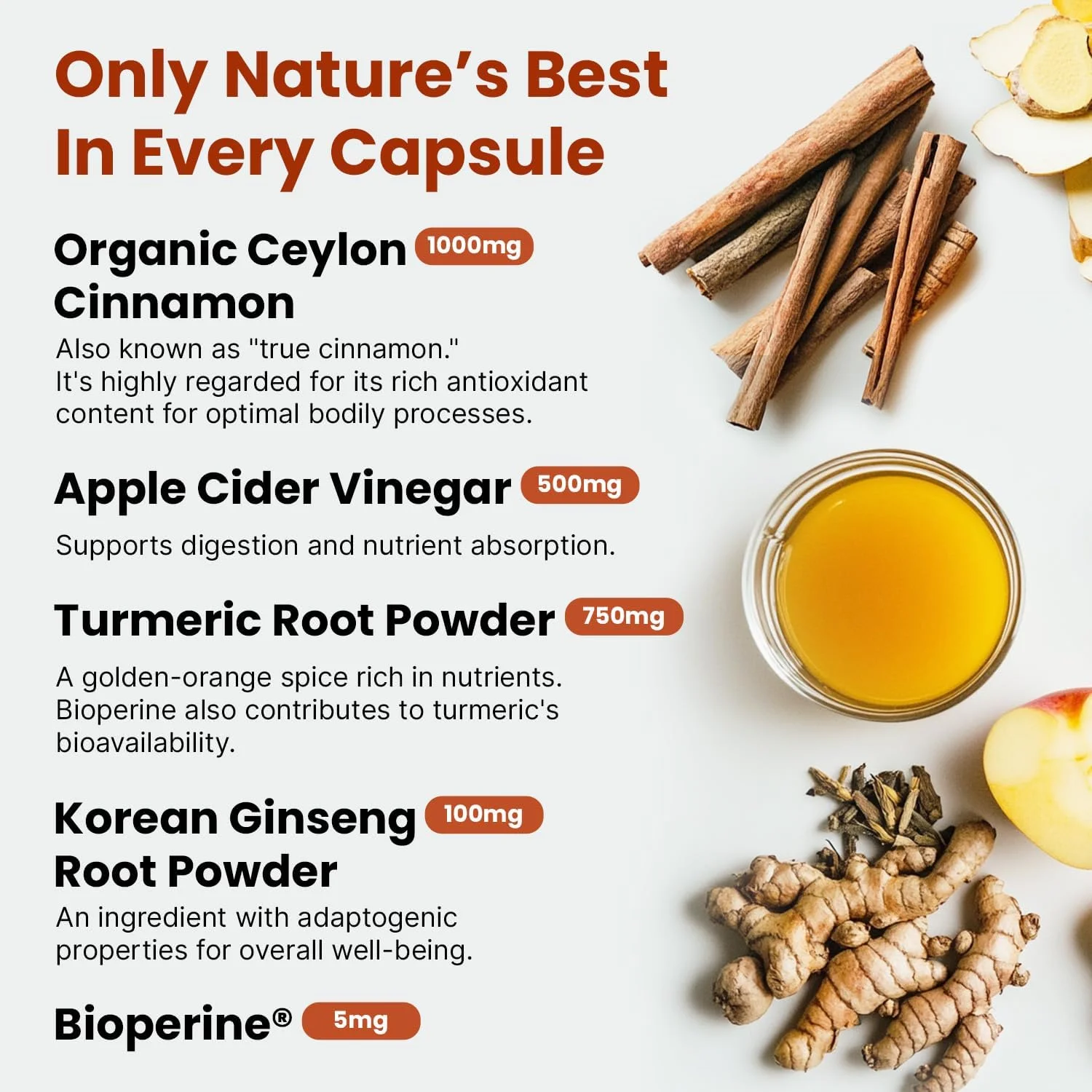 کپسول دارچین سیلان 5 در 1، 2355 میلی گرم - کپسول های دارچین سیلان و سرکه سیب - زردچوبه و جینسینگ پاناکس - مکمل های دارچین با بیوپرین (120 عدد، بسته 4 عددی)