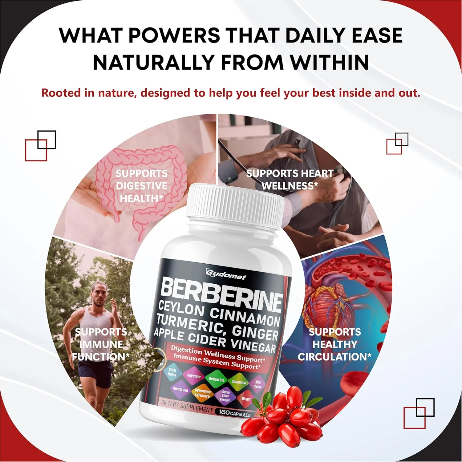 بربرین دارچین سیلان - مکمل همه کاره با خربزه تلخ، AVG Gymnema sylvestre، زردچوبه، خار مریم، شیرین بیان، ریحان مقدس، شنبلیله، بانابا