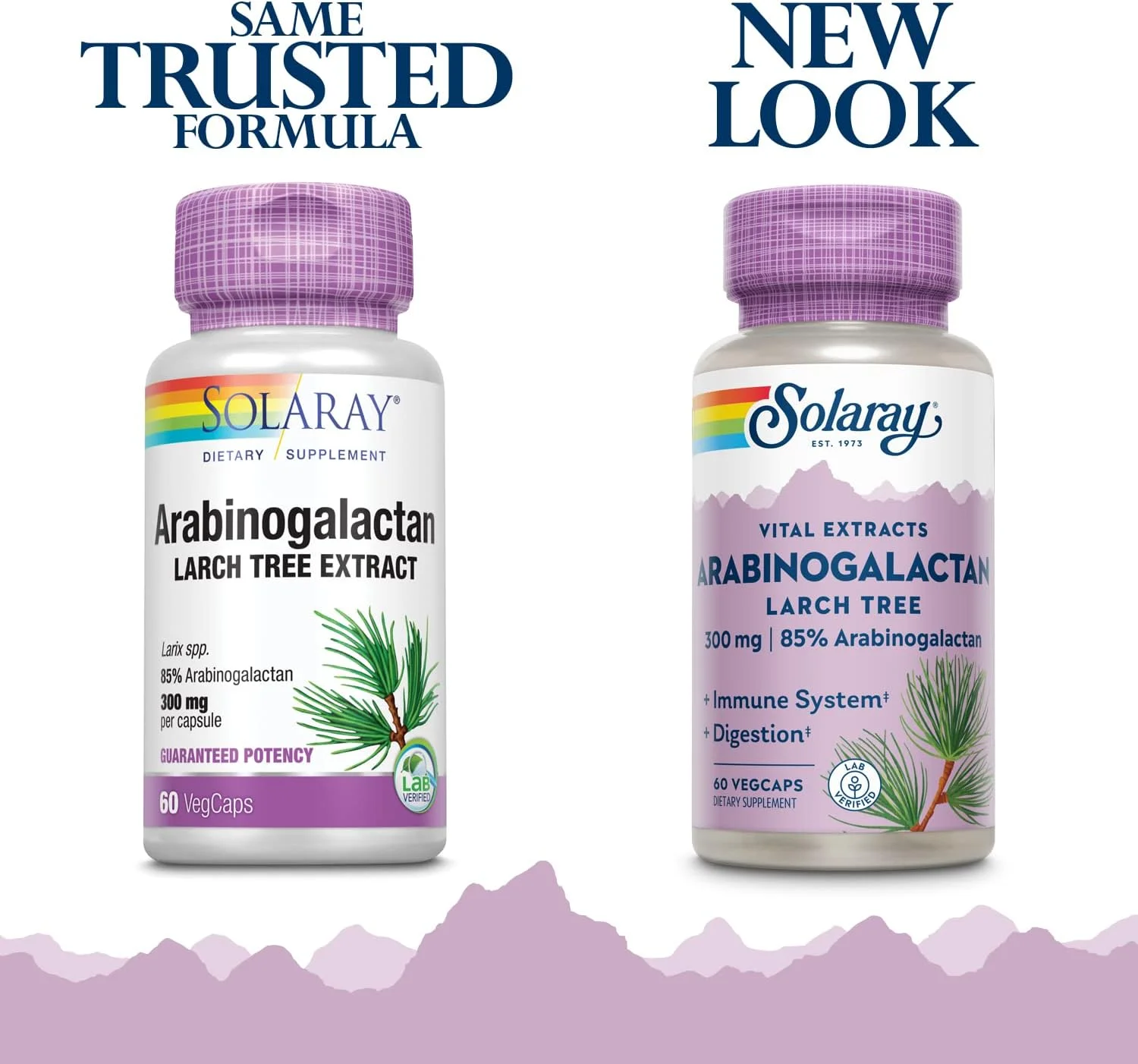عصاره درخت لارچ سولارای آرابینوگالاکتان 300 میلی گرم | فیبر پری بیوتیک برای حمایت از سلامت روده و سیستم ایمنی | 60 کپسول گیاهی