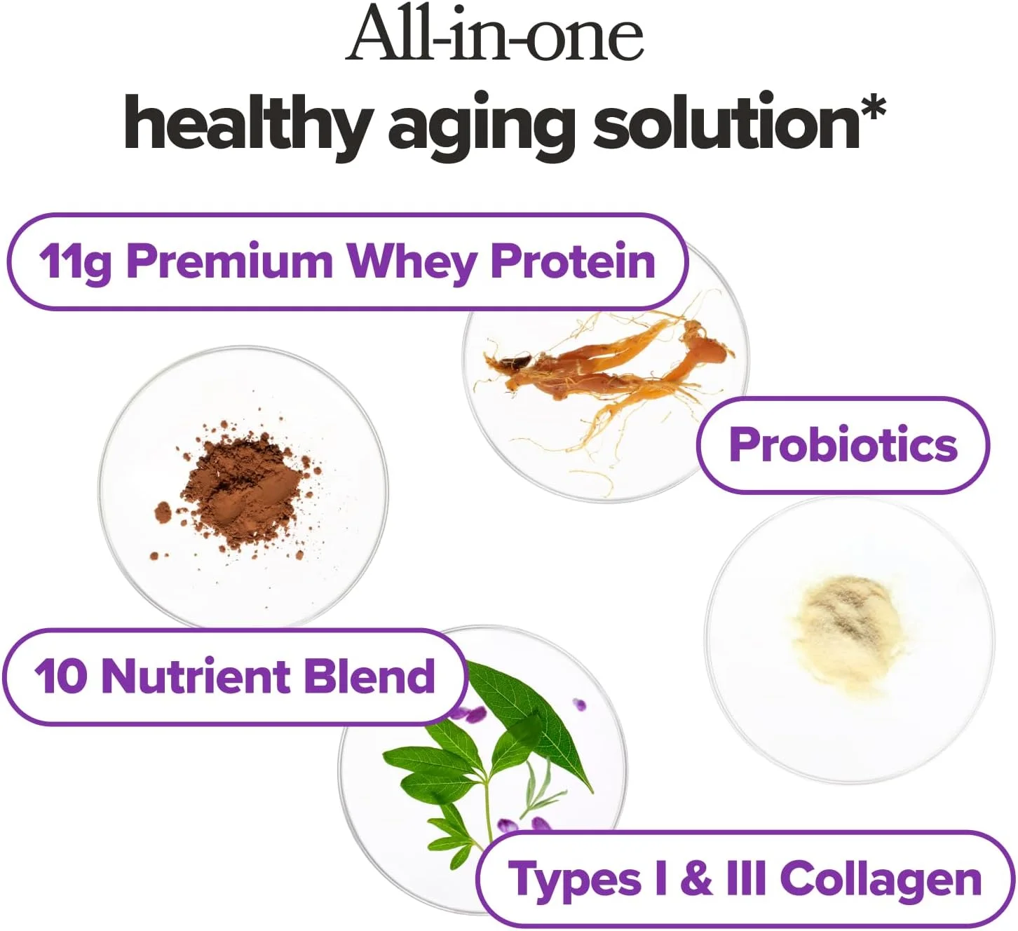 پودر کلاژن و پروتئین برای دوران سالمندی – پشتیبانی از سلامت مفاصل و استخوان، توده عضلانی بدون چربی، شناخت، سلامت پوست و مو – پروتئین وی و کلاژن – طعم براونی شکلاتی - 15 سروینگ