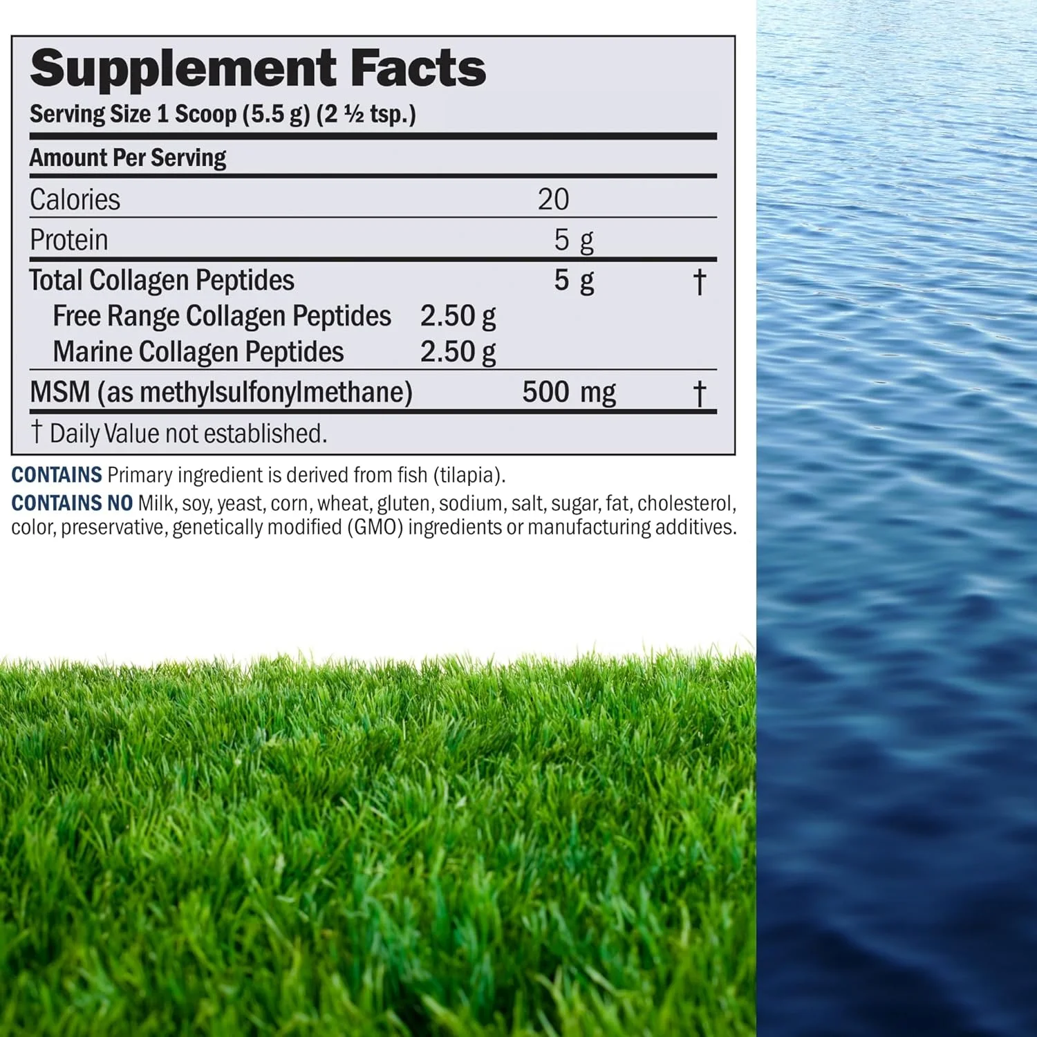 پودر پپتیدهای کلاژن دریایی و آزاد اندرو لِسمن با MSM، ۱۲۰ سروینگ - پشتیبانی از پوست صاف و درخشان و مفاصل راحت. فوق العاده محلول، بدون طعم ماهی، بدون مواد افزودنی، غیر GMO