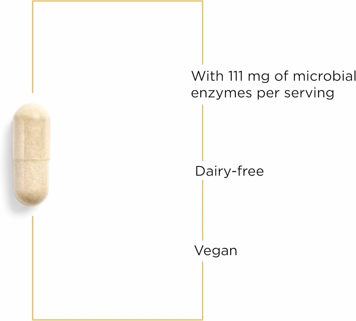 مکمل آنزیمی لیپاز کنسانتره اچ پی Integrative Therapeutics - مکمل آنزیمی برای هضم چربی ها - جذب مواد مغذی و پشتیبانی از سلامت دستگاه گوارش* - فاقد لبنیات و گیاهی - 90 عدد (45 سروینگ) مکمل آنزیمی لیپاز کنسانتره اچ پی Integrative Therapeutics - مکمل آنزیمی برای هضم چربی ها - جذب مواد مغذی و پشتیبانی از سلامت دستگاه گوارش* - فاقد لبنیات و گیاهی - 90 عدد (45 سروینگ)