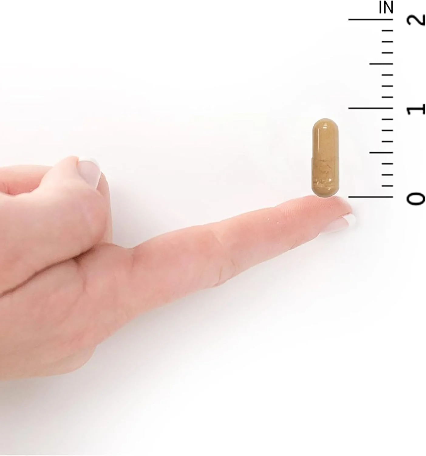 پروبیوتیک Garden of Life برای زنان و مردان - پروبیوتیک خام Ultimate Care با 100 میلیارد CFU، پروبیوتیک روزانه برای بزرگسالان با آنزیم های گوارشی، 30 کپسول پروبیوتیک Garden of Life برای زنان و مردان - پروبیوتیک خام Ultimate Care با 100 میلیارد CFU، پروبیوتیک روزانه برای بزرگسالان با آنزیم های گوارشی، 30 کپسول