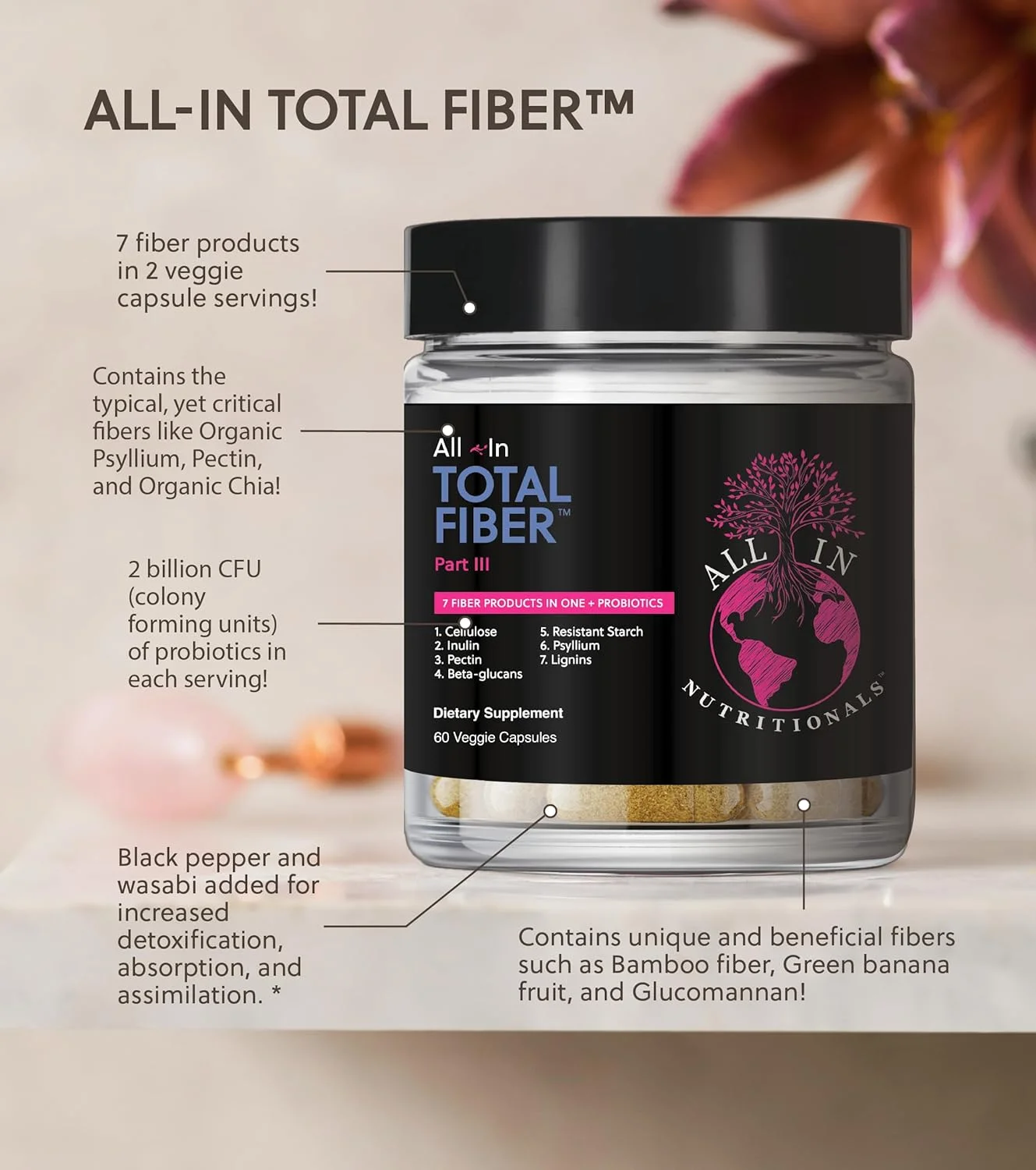 کپسول فیبر کامل All In Nutritionals