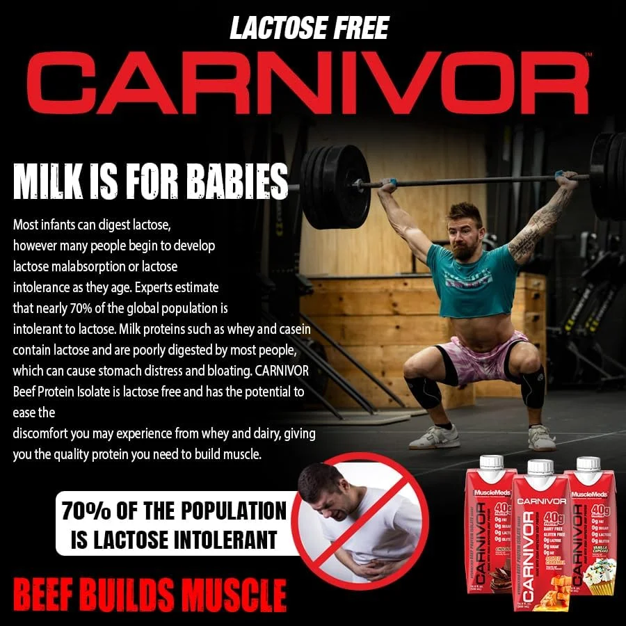 نوشیدنی پروتئینی آماده مصرف MuscleMeds Carnivor RTD، بدون لاکتوز، بدون شکر، حاوی 40 گرم پروتئین ایزوله، عضله ساز، ریکاوری، شکلاتی، 500 میلی لیتر (بسته 12 عددی)