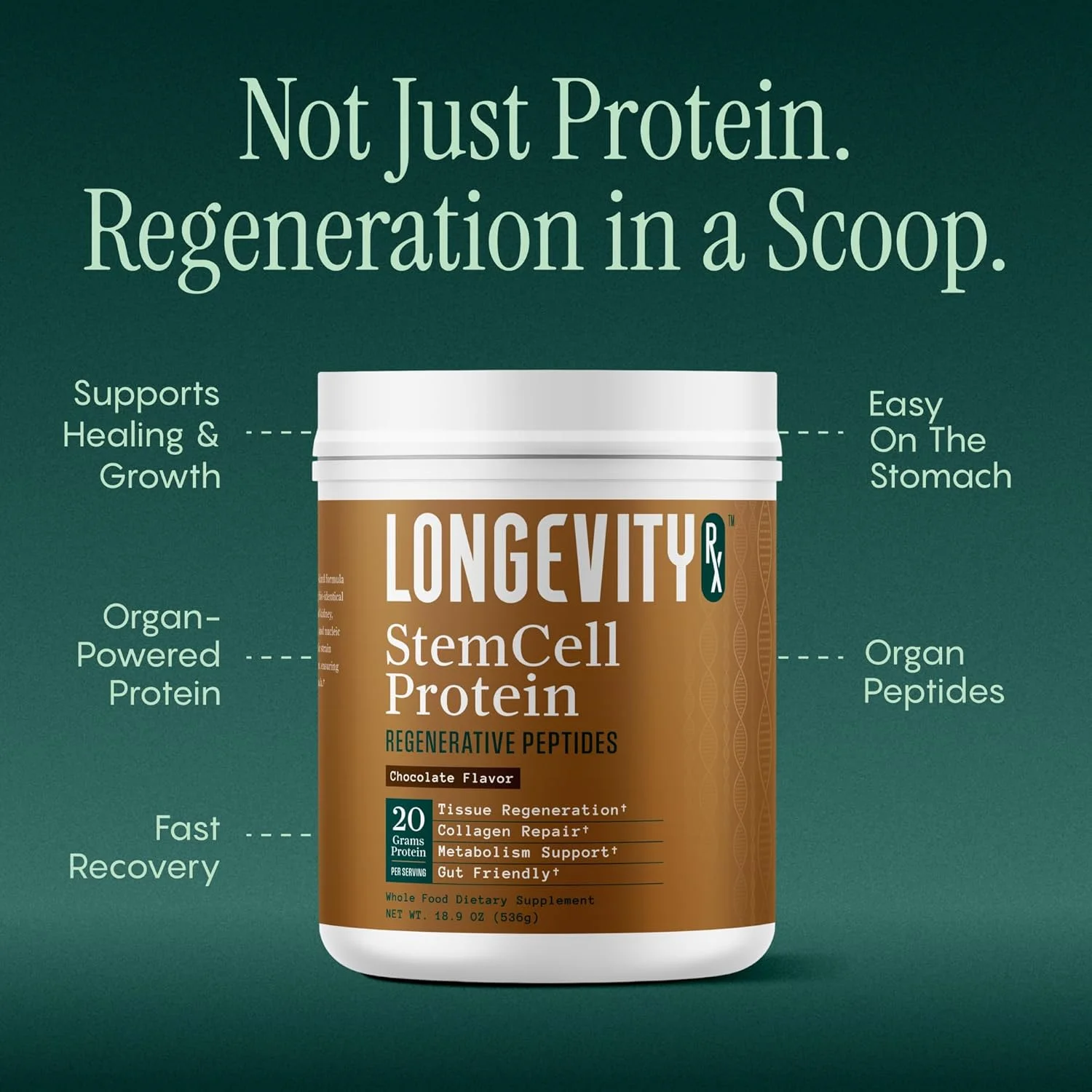 پودر پروتئین شکلاتی سلول های بنیادی - پروتئین مغز استخوان و آب قلم، باسیلوس سوبتیلیس AB-22، پپتیدهای طبیعی - ترمیم سلولی - 30 سروینگ