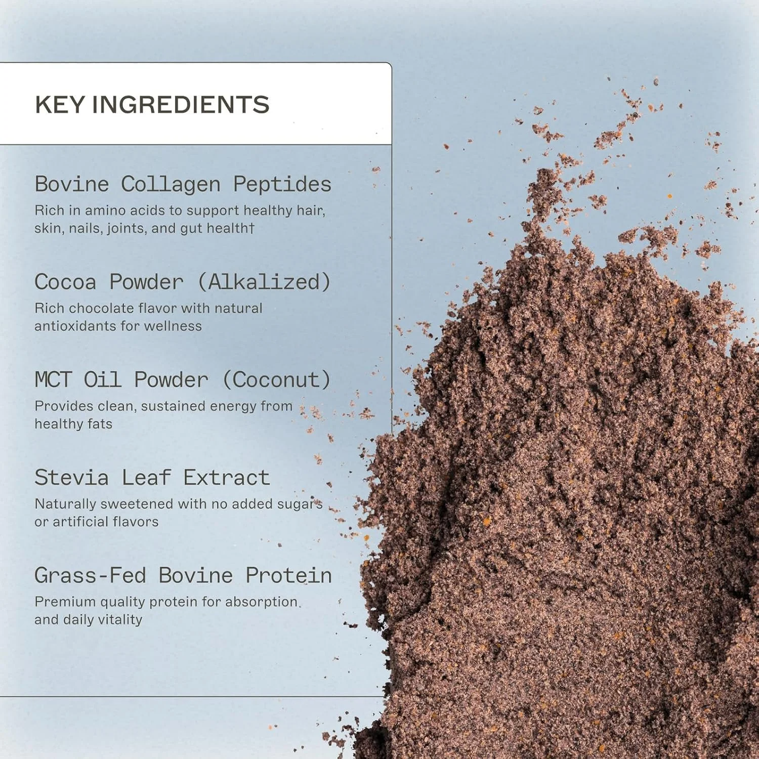 پودر پروتئین پالئو دکتر ایمی مایرز - شکلات تلخ، 20 سروینگ - پشتیبانی از عملکرد روده بر پایه کلاژن - مکمل پروتئین بدون گلوتن و غیر لبنی