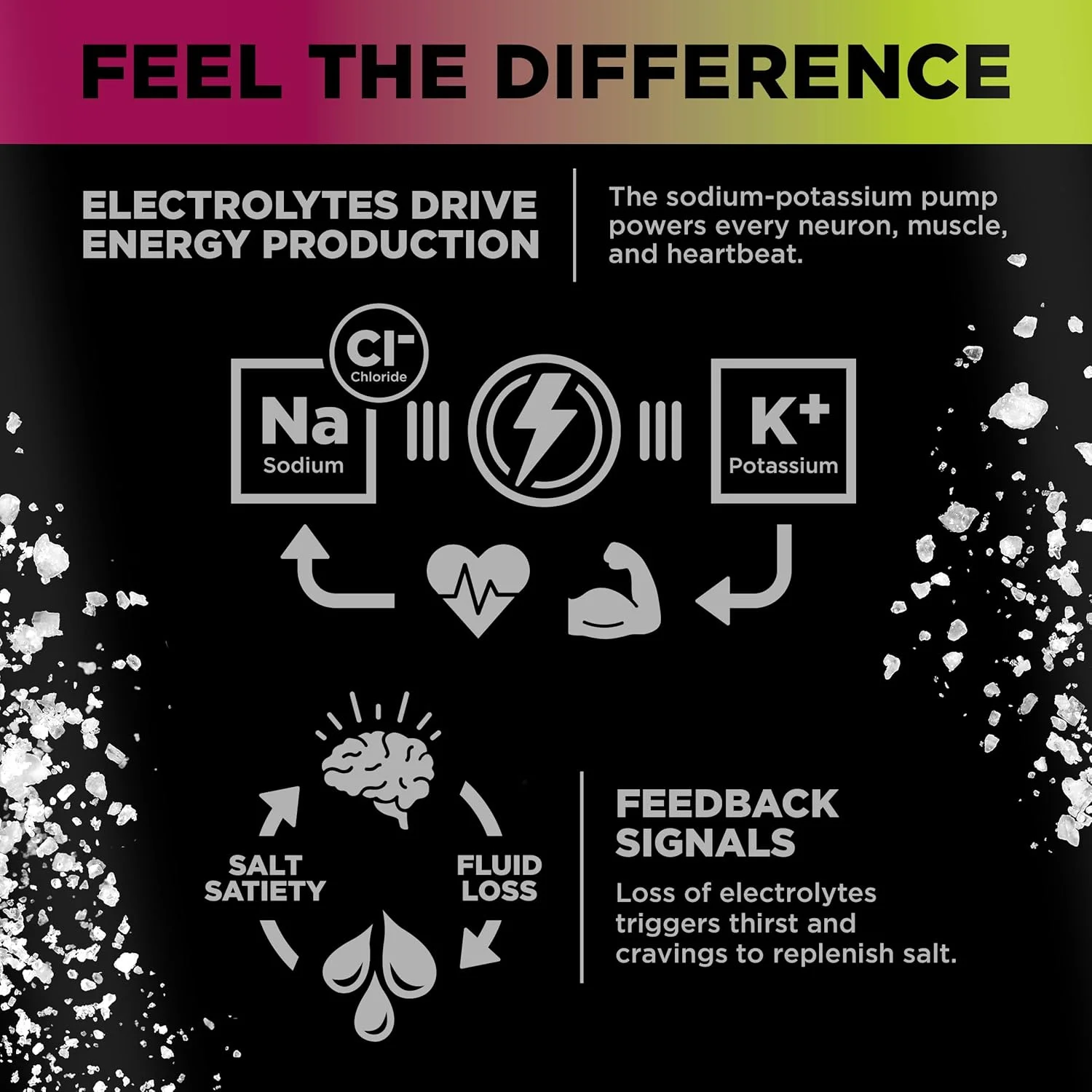 نوشیدنی الکترولیتی گازدار LMNT - بسته متنوع | 12 عددی نوشیدنی الکترولیتی گازدار LMNT - بسته متنوع | 12 عددی