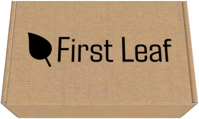 پودر نوشیدنی الکترولیتی G Zero، حاوی ویتامین، بدون شکر، 20 عدد (بسته 2 عددی) (20 بسته، طعم Glacier Freeze) پودر نوشیدنی الکترولیتی G Zero، حاوی ویتامین، بدون شکر، 20 عدد (بسته 2 عددی) (20 بسته، طعم Glacier Freeze)