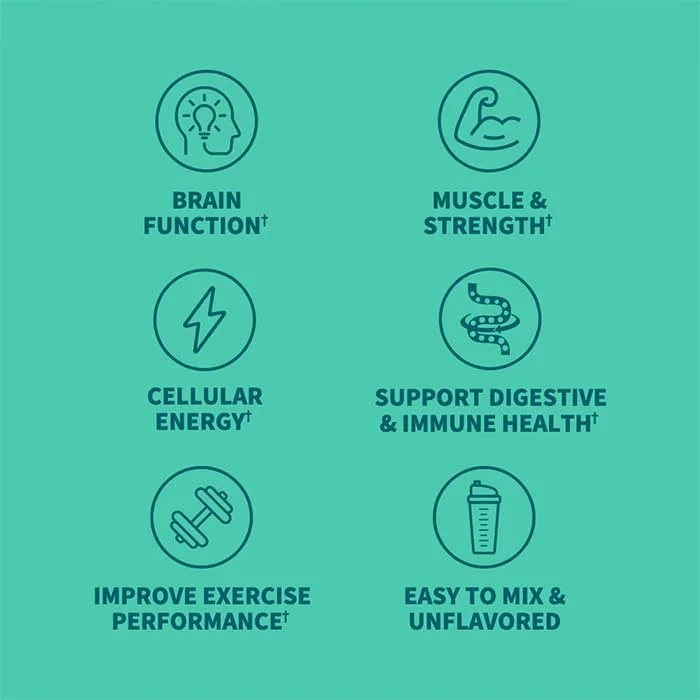 پودر کراتین مونوهیدرات برای بانوان و آقایان از Garden of Life، میکرونیزه شده، مناسب قبل از تمرین ورزشی به همراه پروبیوتیک برای عضله سازی، افزایش قدرت، بهبود عملکرد، انرژی آمینو ورزشی، حدود 60 سروینگ بدون طعم و با قابلیت ترکیب آسان پودر کراتین مونوهیدرات برای بانوان و آقایان از Garden of Life، میکرونیزه شده، مناسب قبل از تمرین ورزشی به همراه پروبیوتیک برای عضله سازی، افزایش قدرت، بهبود عملکرد، انرژی آمینو ورزشی، حدود 60 سروینگ بدون طعم و با قابلیت ترکیب آسان