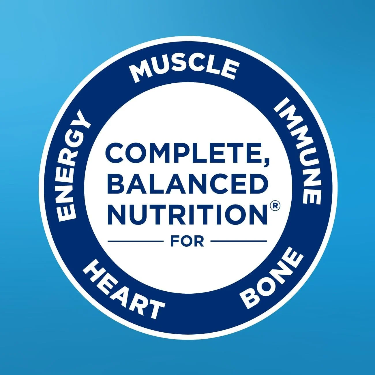 نوشیدنی تغذیه ای توت فرنگی Ensure Plus | نوشیدنی جایگزین وعده غذایی | آماده نوشیدن | 16 گرم پروتئین و 27 ویتامین و مواد معدنی | 237 میلی لیتر - بسته 24 عددی نوشیدنی تغذیه ای توت فرنگی Ensure Plus | نوشیدنی جایگزین وعده غذایی | آماده نوشیدن | 16 گرم پروتئین و 27 ویتامین و مواد معدنی | 237 میلی لیتر - بسته 24 عددی