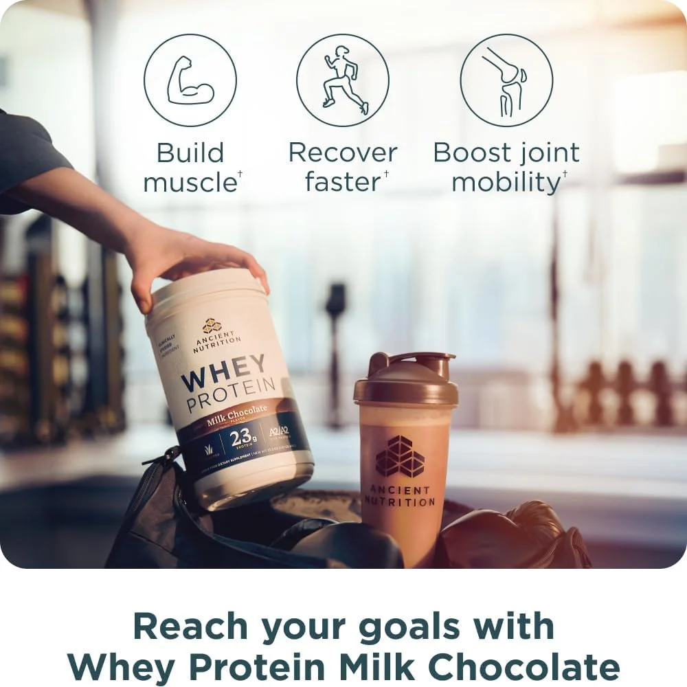 پودر پروتئین وی با شیر گاو تغذیه شده با علف Ancient Nutrition، وانیل، 35 سروینگ + پودر پروتئین وی با شیر گاو تغذیه شده با علف Ancient Nutrition، شکلات شیری، 20 سروینگ پودر پروتئین وی با شیر گاو تغذیه شده با علف Ancient Nutrition، وانیل، 35 سروینگ + پودر پروتئین وی با شیر گاو تغذیه شده با علف Ancient Nutrition، شکلات شیری، 20 سروینگ