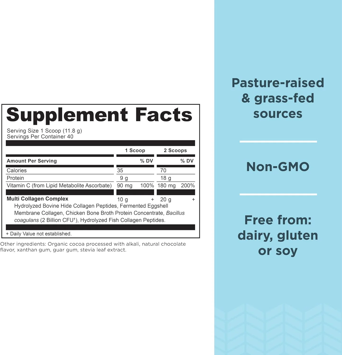 پودر پروتئین کلاژن چندگانه با طعم شکلات، 40 سروینگ + پودر پروتئین آب قلم با طعم شکلات، 40 سروینگ پودر پروتئین کلاژن چندگانه با طعم شکلات، 40 سروینگ + پودر پروتئین آب قلم با طعم شکلات، 40 سروینگ