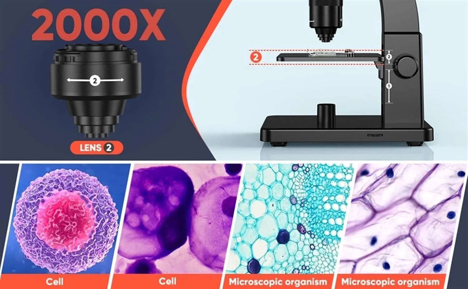میکروسکوپ دیجیتال 2000X با صفحه نمایش 7 اینچی IPS، دوربین 12 مگاپیکسلی 1080P آزمایشگاهی بیولوژیکی با لنز دوگانه و کنترل از راه دور (32 گیگابایت RC)