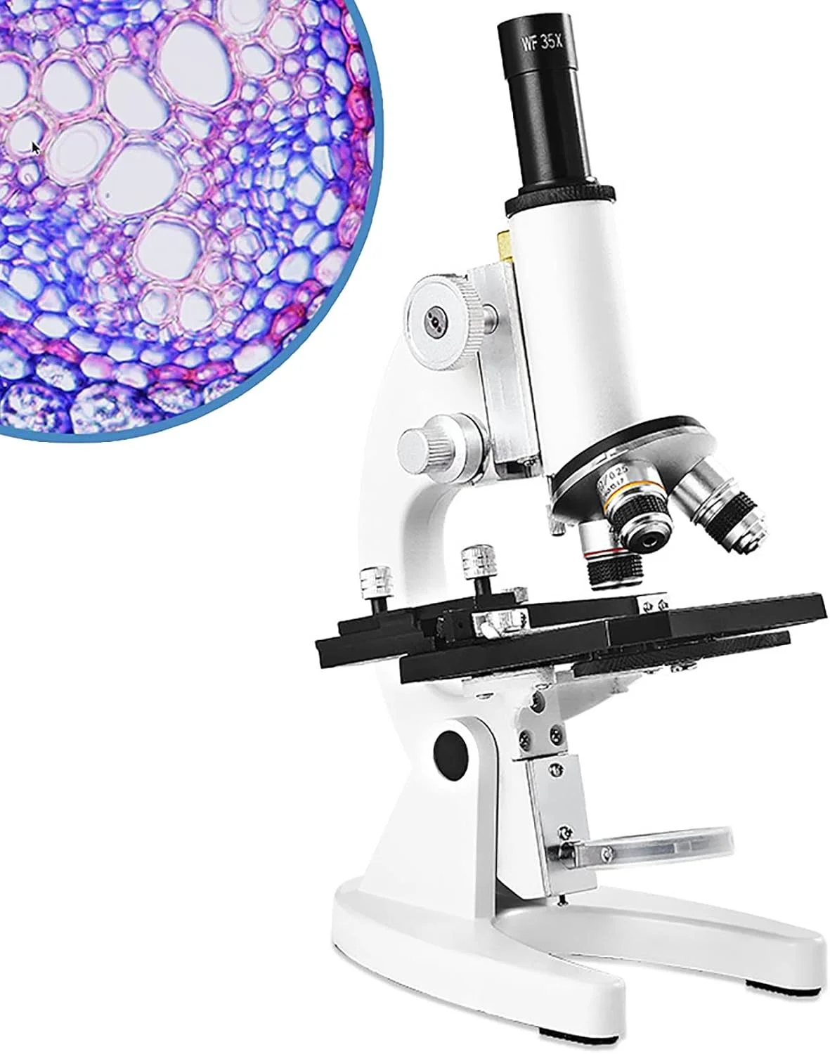 میکروسکوپ نوری تک چشمی 12000X-30000X، میکروسکوپ آموزشی زیست شناسی تجربی علوم کودکان، با نگهدارنده تلفن، 12000X
