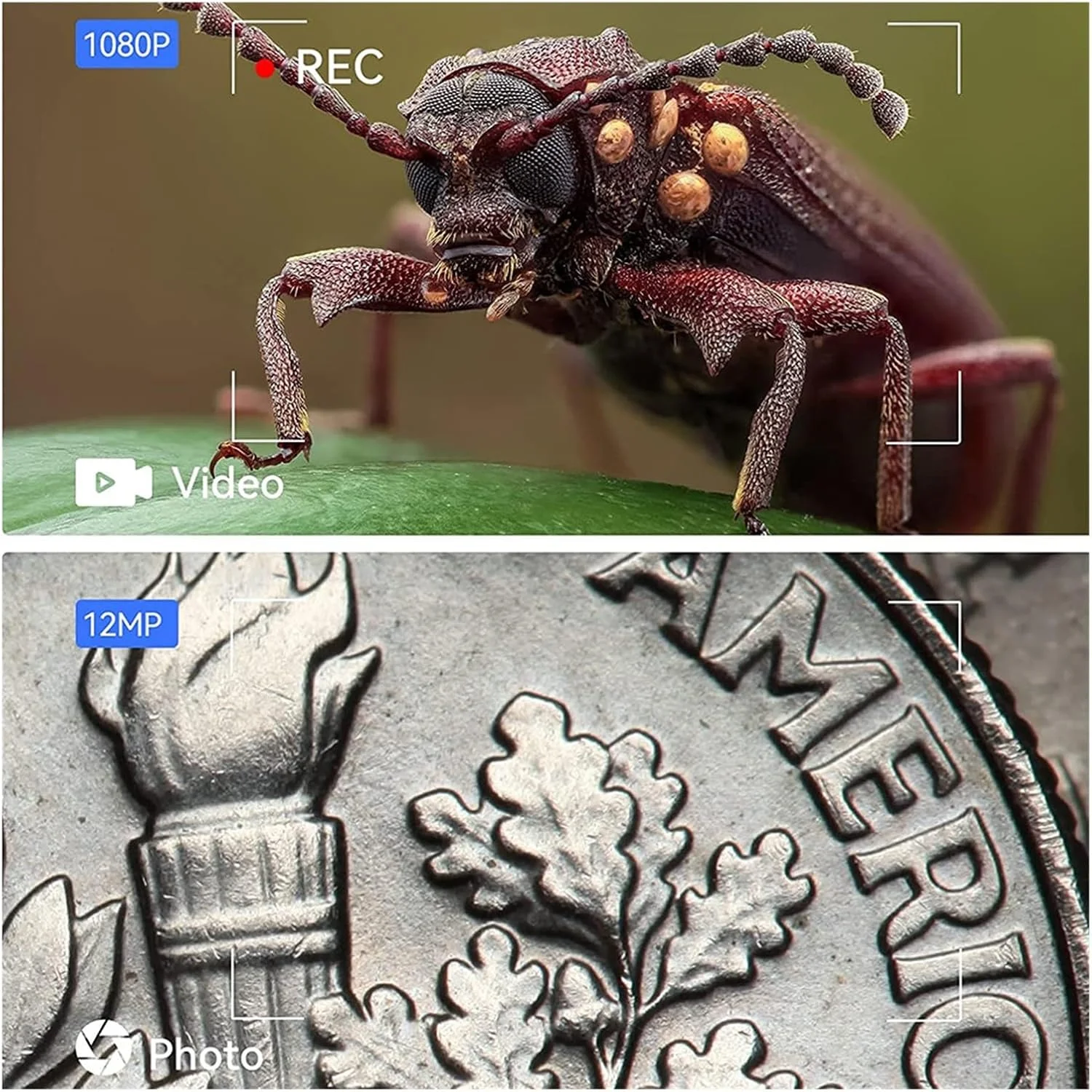 میکروسکوپ دیجیتال 1200X با صفحه نمایش 7 اینچی IPS برای لحیم کاری الکترونیک، تعمیرات و بررسی سکه، 12 مگاپیکسل، سازگار با ویندوز و مک