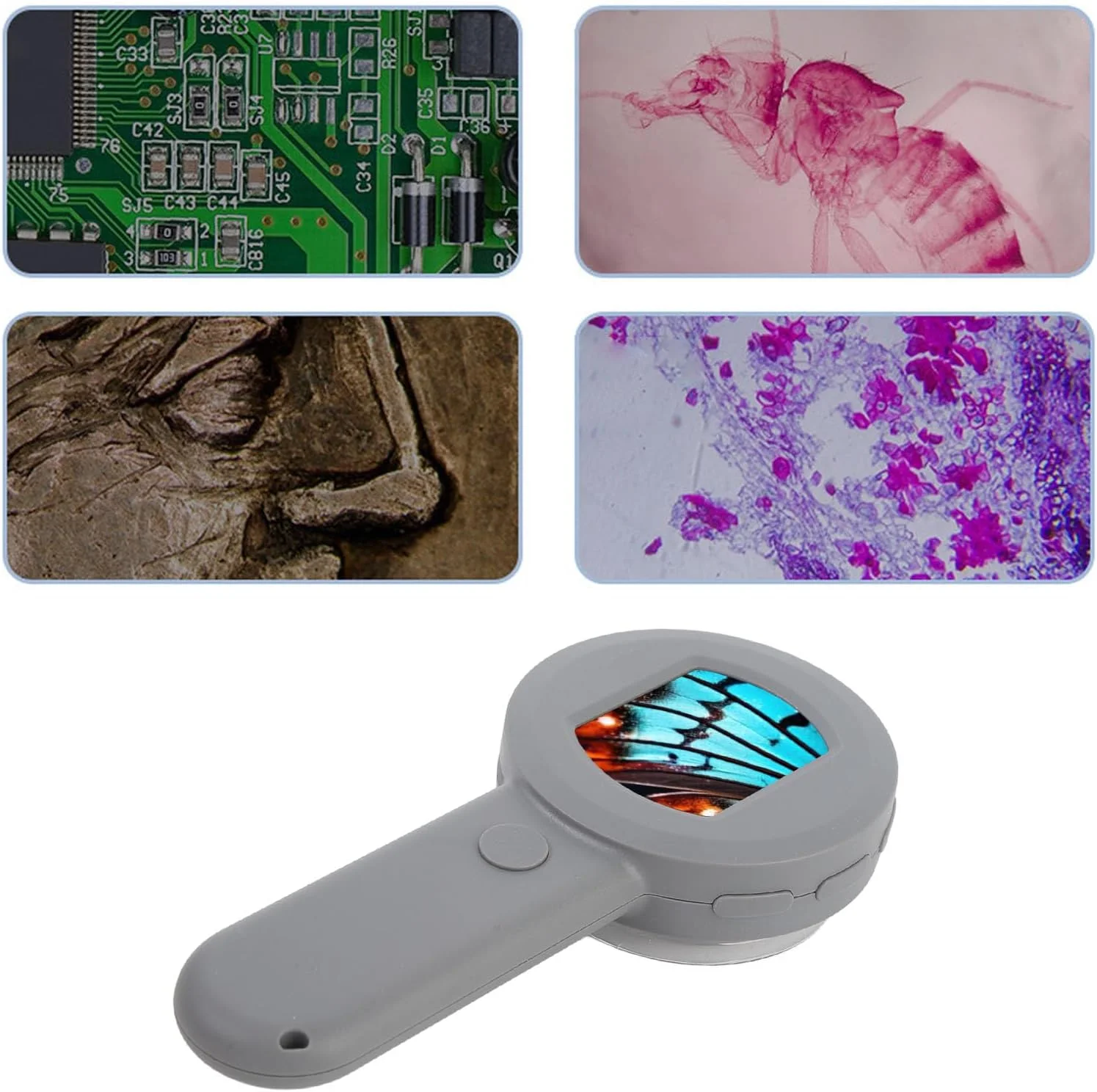 میکروسکوپ دیجیتال Fabater با بزرگنمایی 100 برابر و نورپردازی LED برای جواهرات - مدل Münzmutiper با نور 8 جهته برای نوجوانان و بزرگسالان میکروسکوپ دیجیتال Fabater با بزرگنمایی 100 برابر و نورپردازی LED برای جواهرات - مدل Münzmutiper با نور 8 جهته برای نوجوانان و بزرگسالان