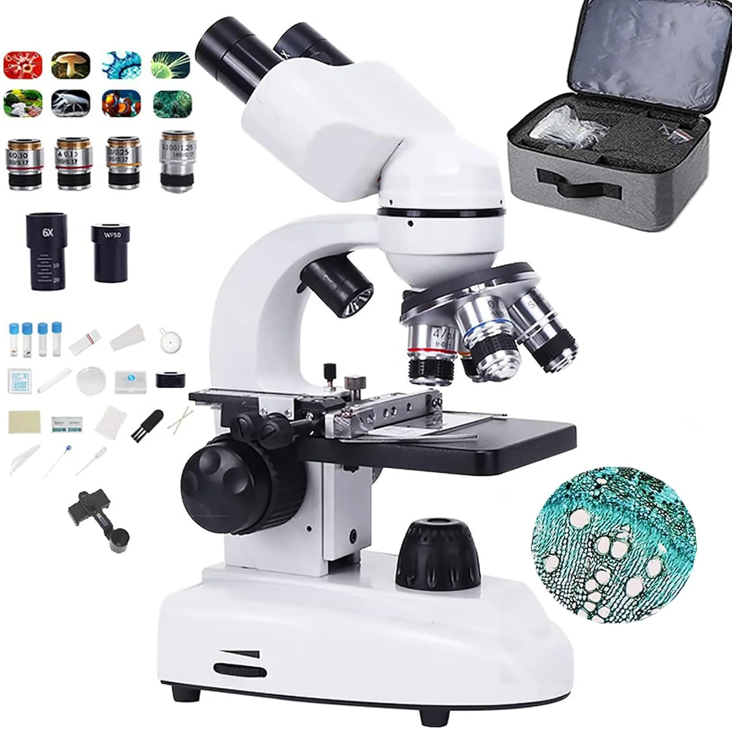 میکروسکوپ بیولوژیکی دوچشمی مرکب آزمایشگاهی آموزشی خانگی، امکان عکس و فیلمبرداری با موبایل به همراه 30 نمونه آماده، 6000/10000/15000/20000 برابر بزرگنمایی، 20000X