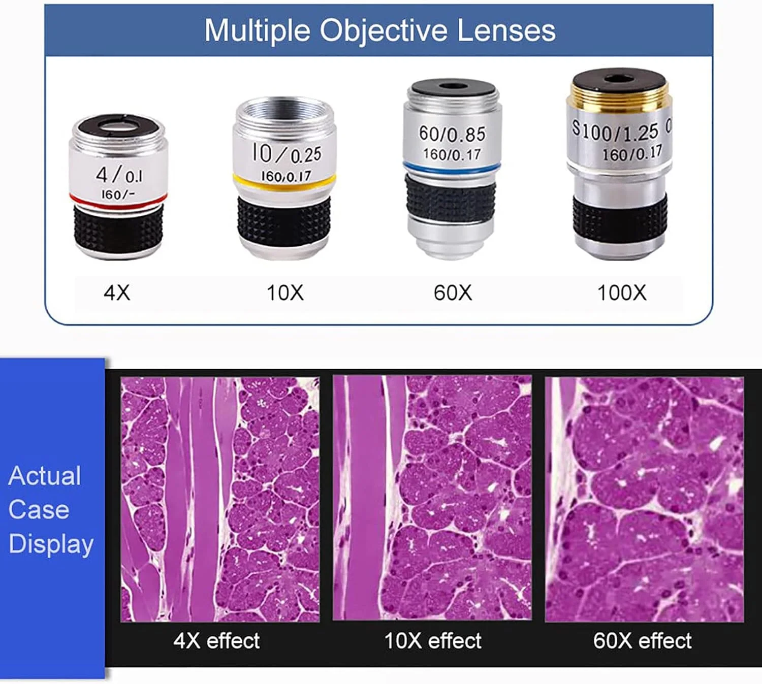 میکروسکوپ بیولوژیکی دوچشمی مرکب آزمایشگاهی آموزشی خانگی، امکان عکس و فیلمبرداری با موبایل به همراه 30 نمونه آماده، 6000/10000/15000/20000 برابر بزرگنمایی، 20000X