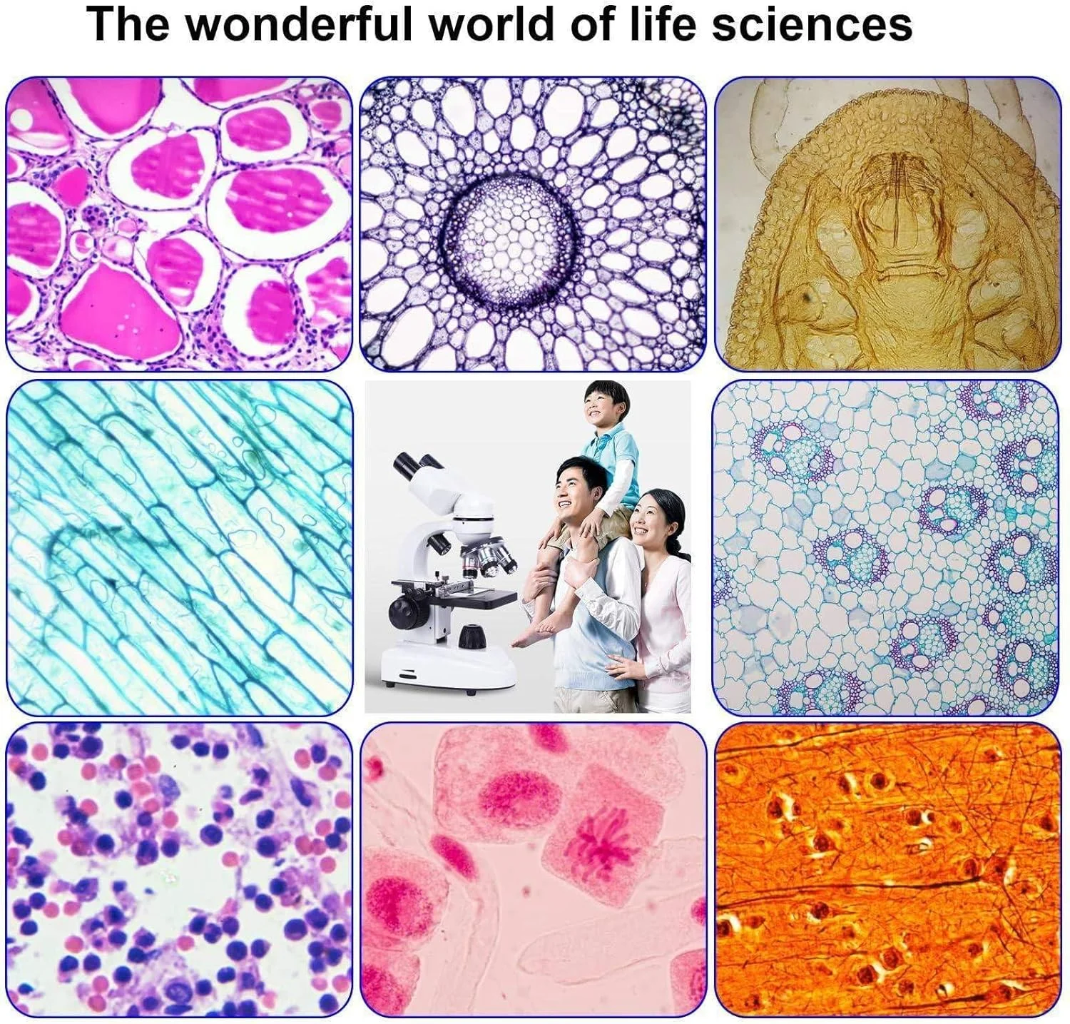 میکروسکوپ بیولوژیکی HD دوچشمی + صفحه نمایش HD 5 اینچی + چشمی الکترونیکی + نگهدارنده تلفن + کیف دستی، نورپردازی LED دوگانه، فوکوس قابل تنظیم، برای دانش آموزان، بزرگسالان، مدرسه، آزمایشگاه 6000X