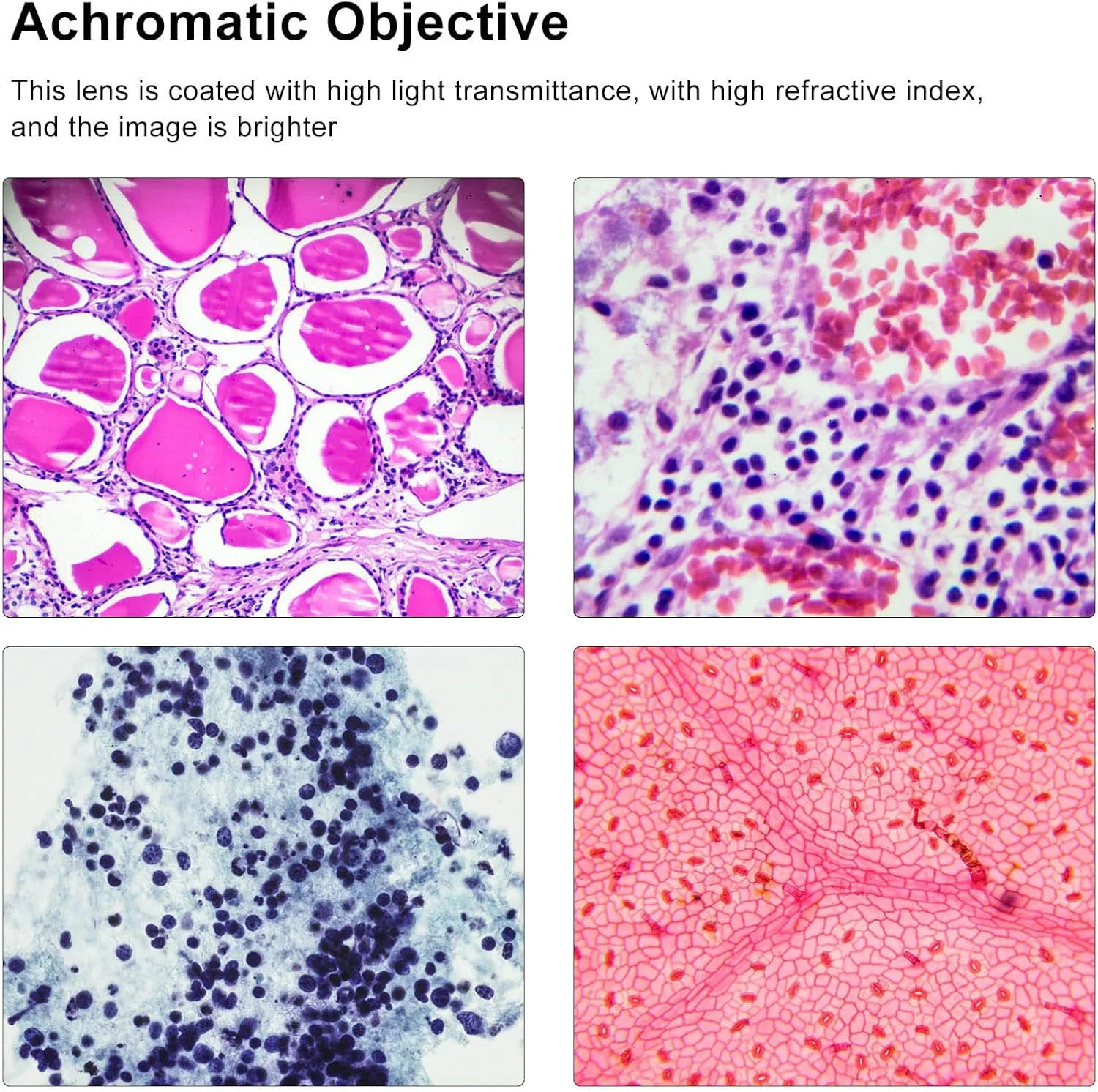 لنز شیئی آکروماتیک میکروسکوپ Garosa 60X، لنز شیئی آکروماتیک برنجی با قابلیت انتقال نور بالا و برگشت خودکار برای زیست شناسی