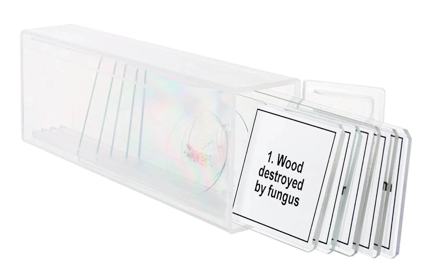 اسلایدهای میکروسکوپ آموزشی آماده دیسکاوری Prof Specimens DPS 5. “جهش‌ها” – مجموعه ای برای مطالعات گیاه شناسی و جانورشناسی