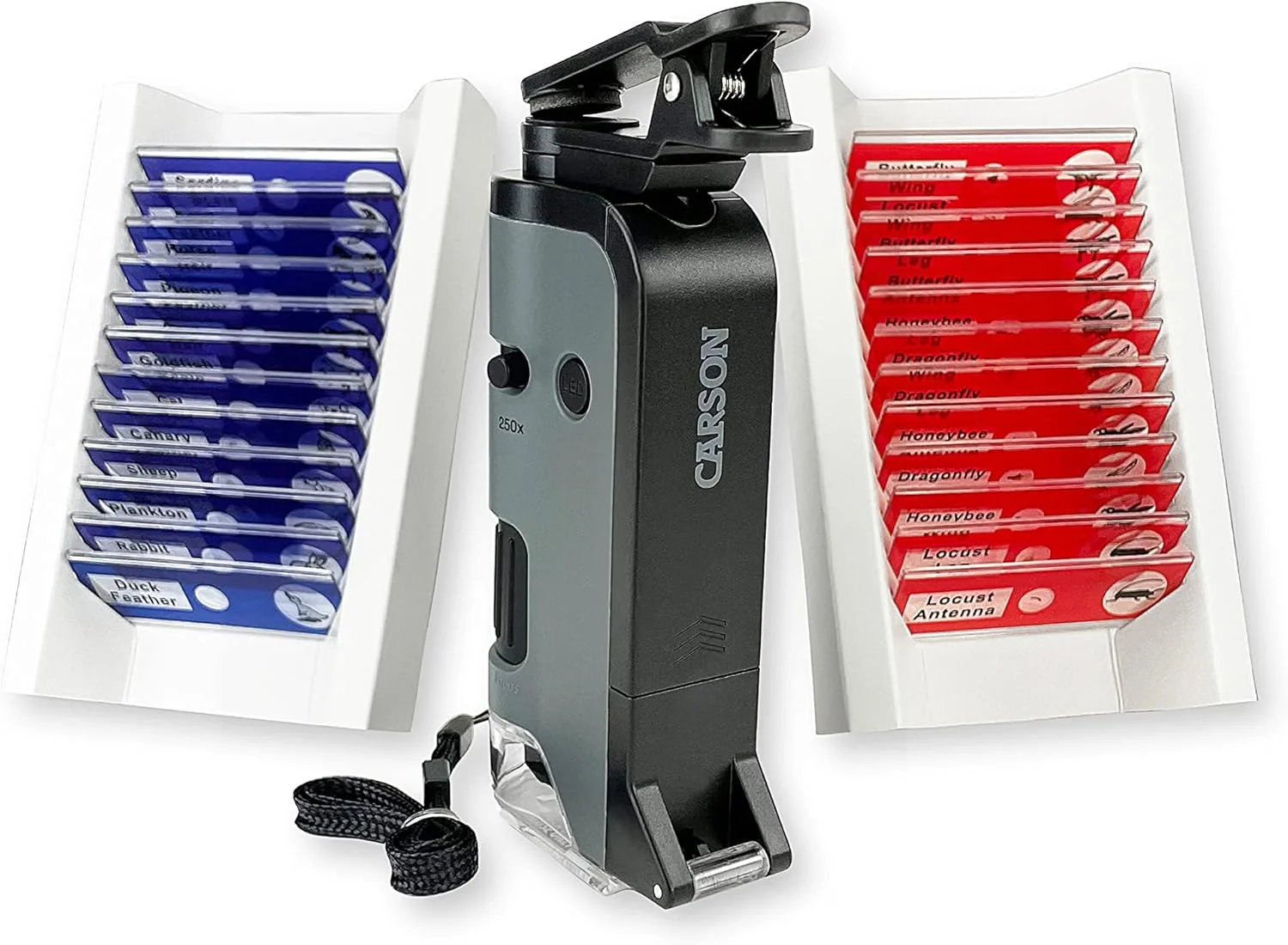 میکروسکوپ جیبی کارسون MicroFlip با بزرگنمایی 100x-250x دارای نور LED و UV، پایه اسلاید تاشو و گیره اتصال گوشی هوشمند به همراه 24 اسلاید آماده حشرات و حیوانات (MP-250BUN)