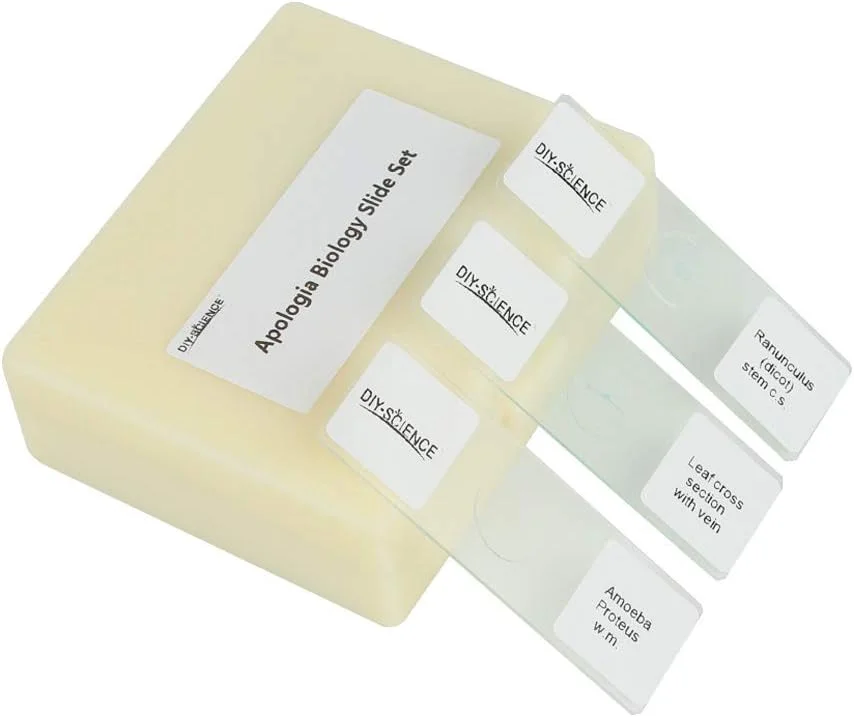 مجموعه اسلایدهای میکروسکوپ زیست شناسی آماده آپولوجیا، بسته 16 عددی نمونه های تخصصی برای دوره زیست شناسی (اسلایدهای آپولوجیا)