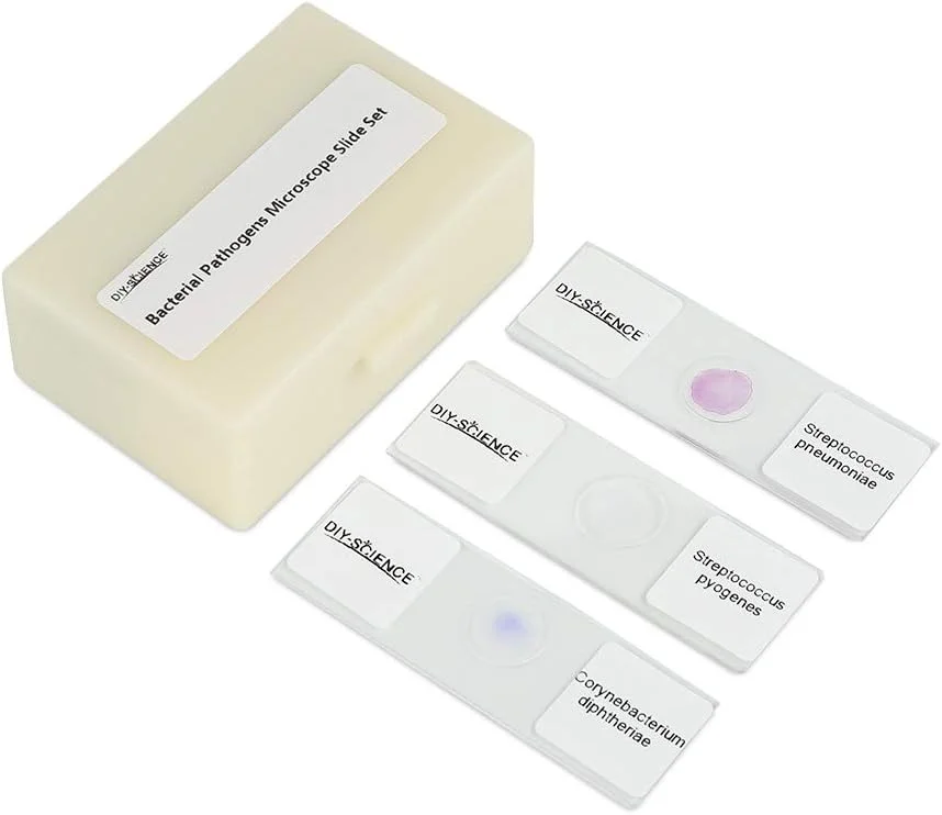 مجموعه اسلایدهای میکروسکوپ از پاتوژن های باکتریایی آماده، 12 عدد. نمایش دهنده پاتوژن های باکتریایی مسئول بیماری های حیوانات