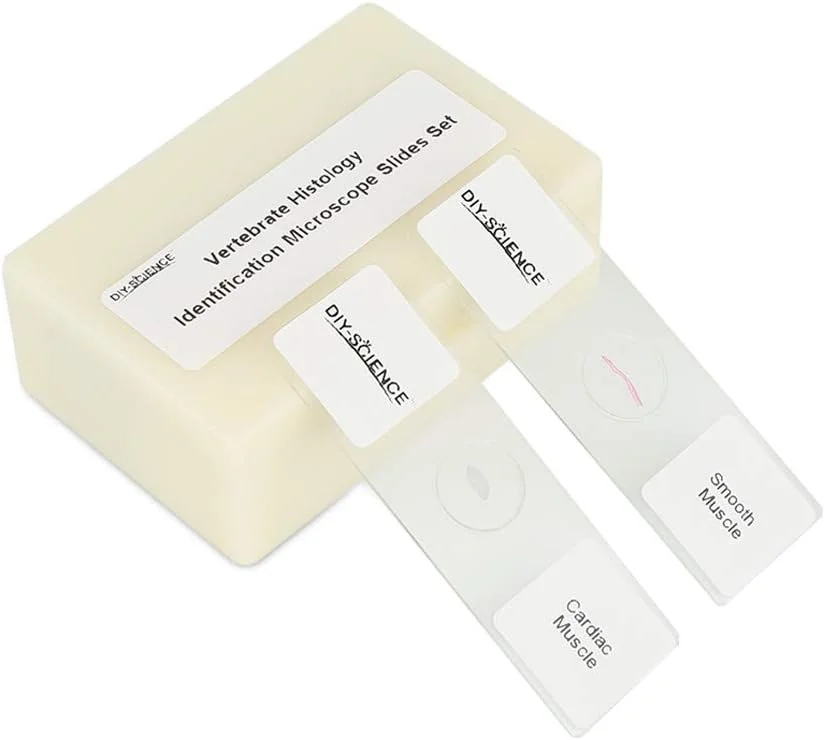 مجموعه اسلایدهای میکروسکوپ بافت شناسی مهره داران آماده، 12 نمونه معرف انواع اصلی مهره داران