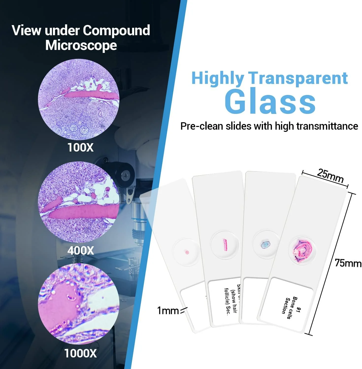 مجموعه اسلایدهای میکروسکوپ BNISE مدل LD-9112 مناسب آموزش دانش آموزان در خانه و مدرسه