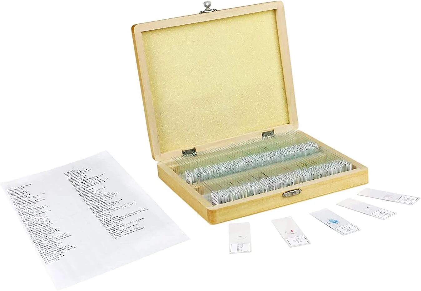 مجموعه ۱۰۰ عددی اسلاید Vision Scientific VS100، ۱۰۰ اسلاید میکروسکوپ شیشه ای آماده، کاربرد عمومی بیولوژیکی/علمی، جعبه نشکن با لایه داخلی