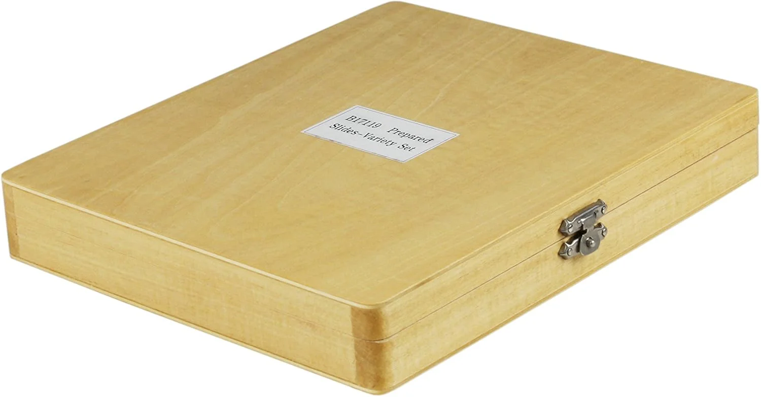 مجموعه ۱۰۰ عددی اسلاید Vision Scientific VS100، ۱۰۰ اسلاید میکروسکوپ شیشه ای آماده، کاربرد عمومی بیولوژیکی/علمی، جعبه نشکن با لایه داخلی