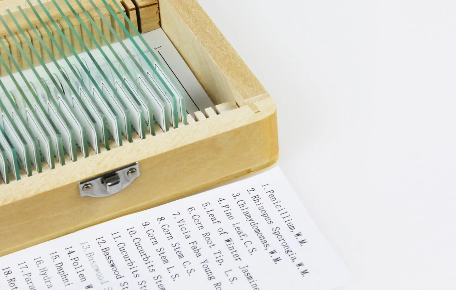 مجموعه ۱۰۰ عددی اسلاید Vision Scientific VS100، ۱۰۰ اسلاید میکروسکوپ شیشه ای آماده، کاربرد عمومی بیولوژیکی/علمی، جعبه نشکن با لایه داخلی