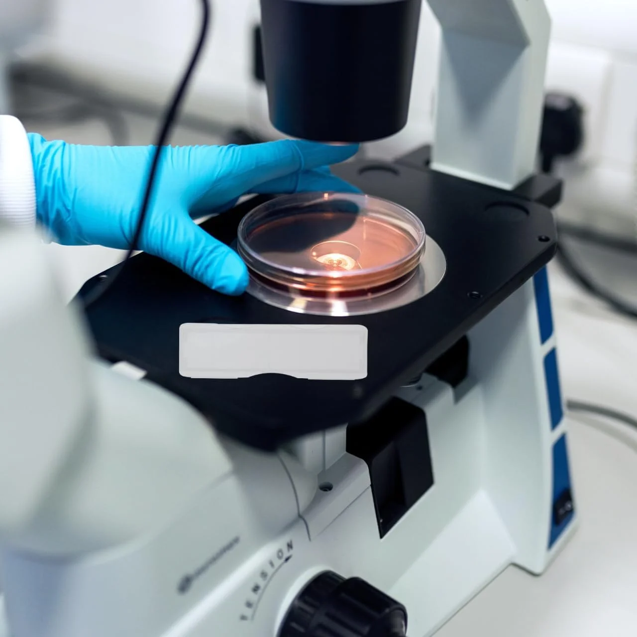 ULTECHNOVO 100 عدد گیره اسلاید پلاستیکی جعبه نگهداری میکروسکوپ لوازم جداگانه ظروف نمونه نگهدارنده اسلاید علمی PP