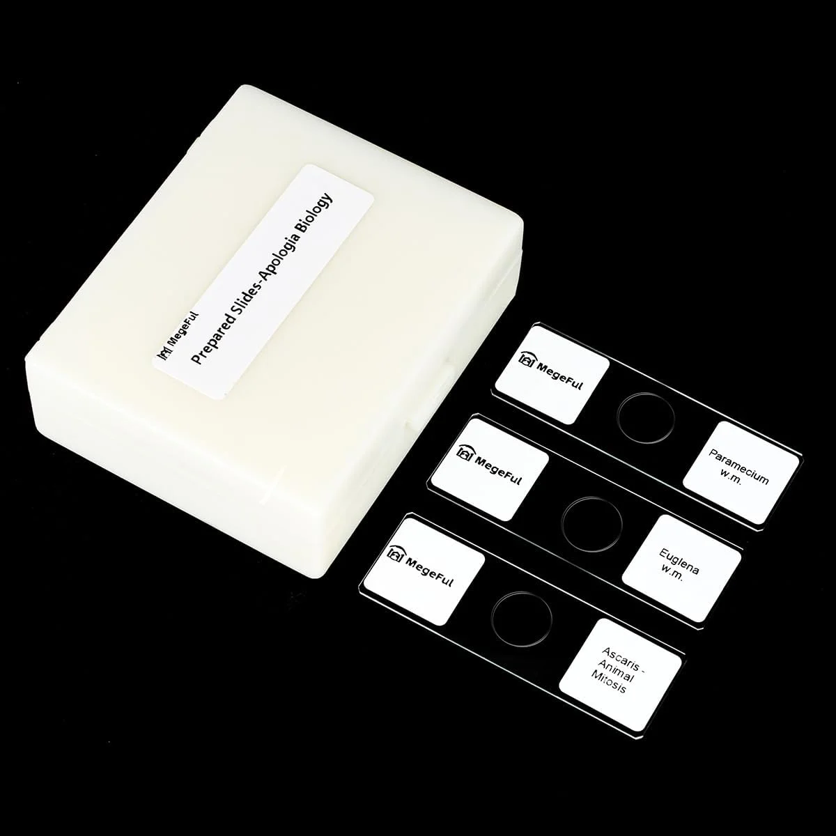 Prepared Microscope Slides for Apologia Biology Series, 16PCS Microscope Slides Set Includes Various Types Samples for Biology Course