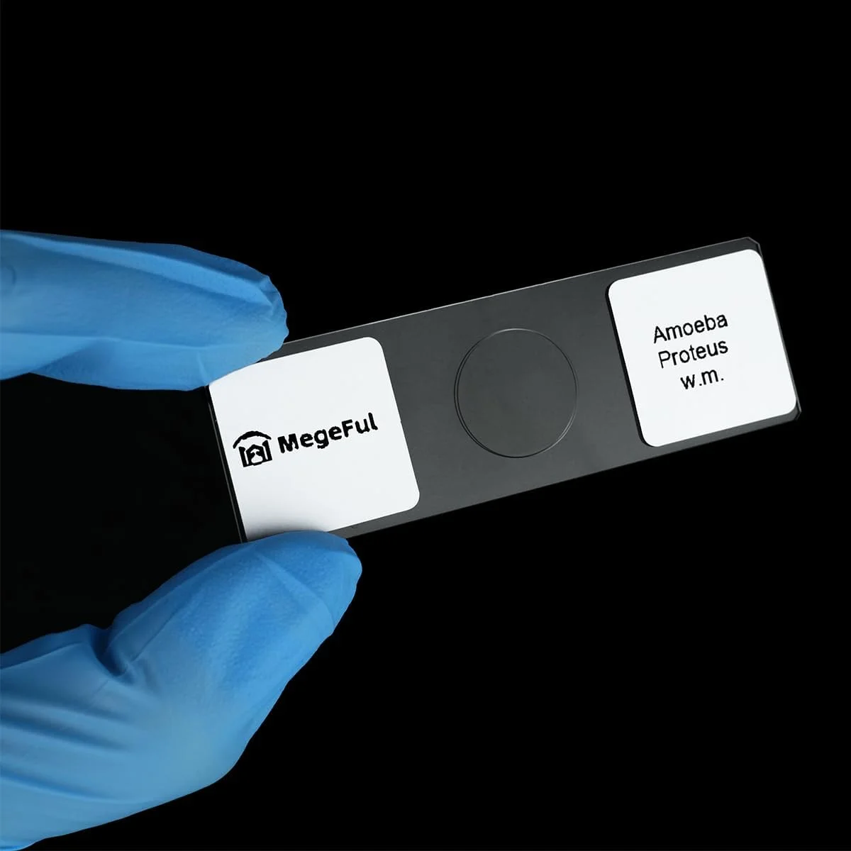 Prepared Microscope Slides for Apologia Biology Series, 16PCS Microscope Slides Set Includes Various Types Samples for Biology Course