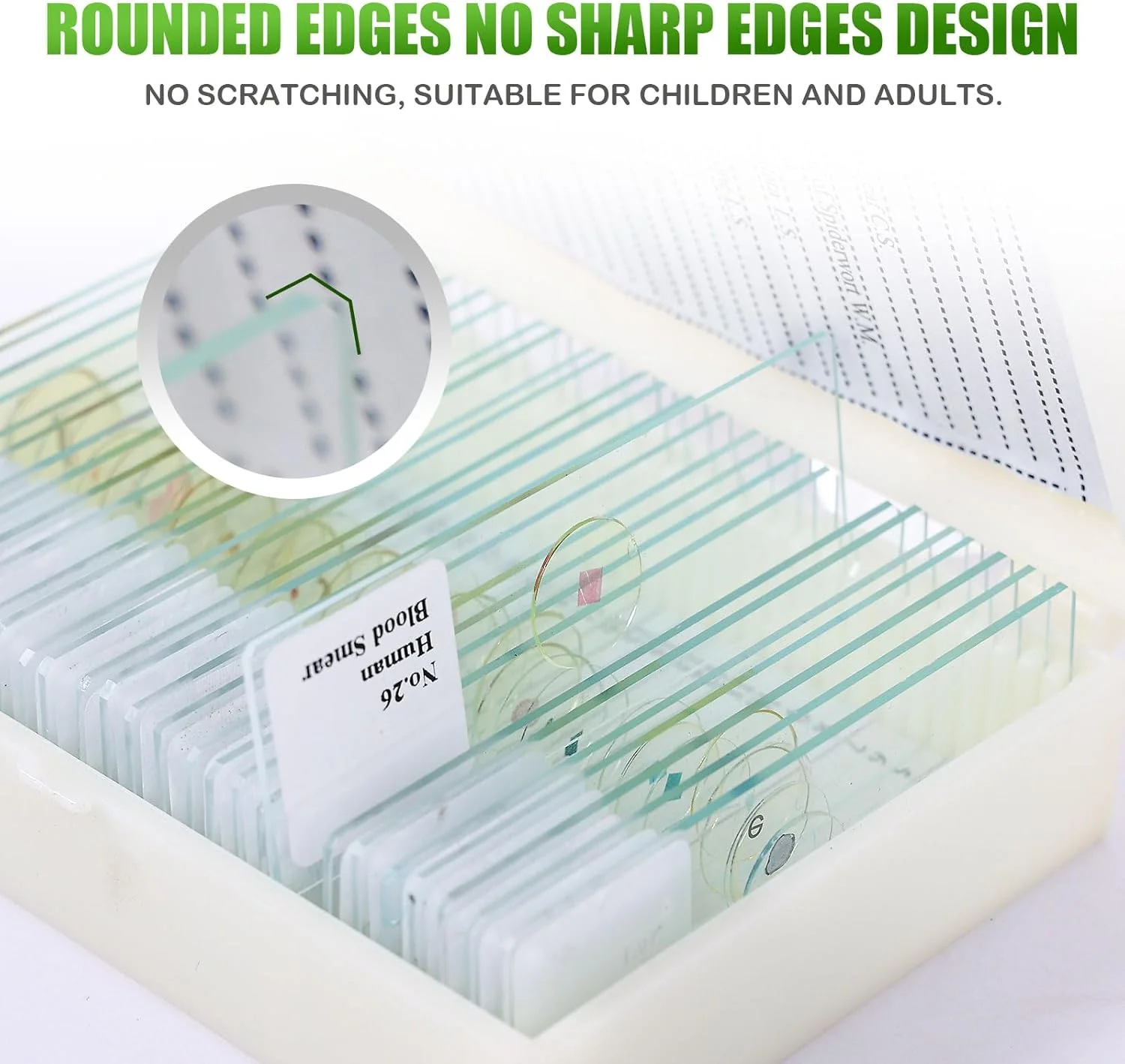 120 اسلاید میکروسکوپ با نمونه، مجموعه اسلاید گیاهی، حشرات، حیوانات و جلبک برای آموزش علوم پایه زیستی آزمایشگاه علوم زیستی