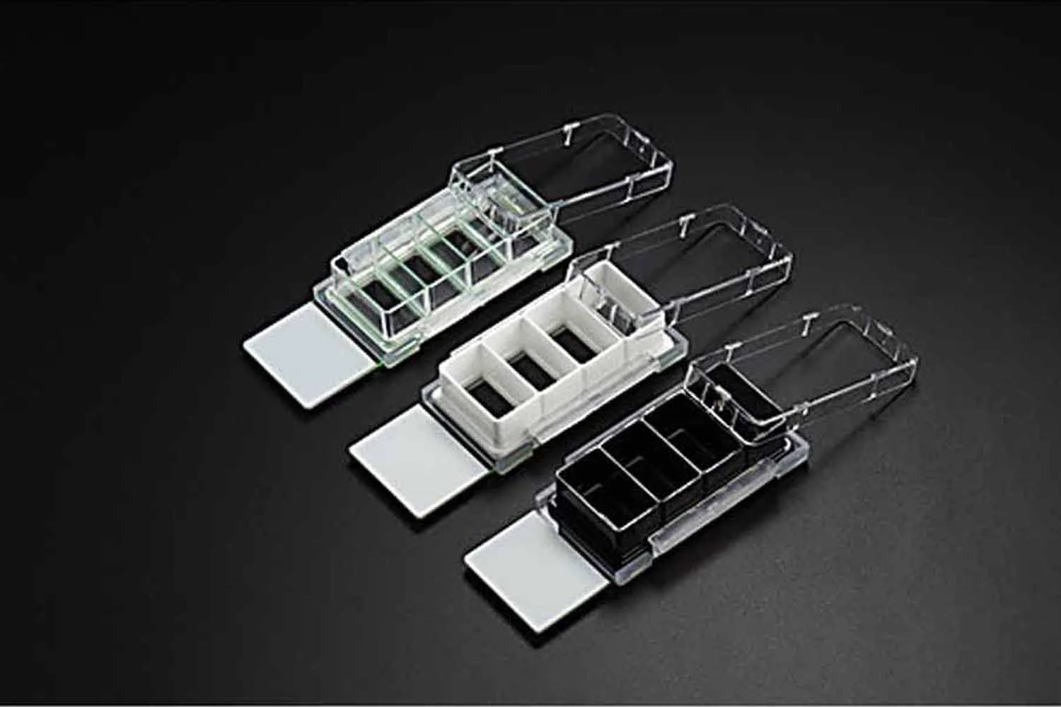 اسلاید محفظه کشت سلول NEST Scientific 230104، 4 خانه با اسلاید شیشه ای، شفاف، مساحت رشد سلول 2.13 سانتی متر مربع، حجم کارکرد 0.5-1.3 میلی لیتر (2 عدد)