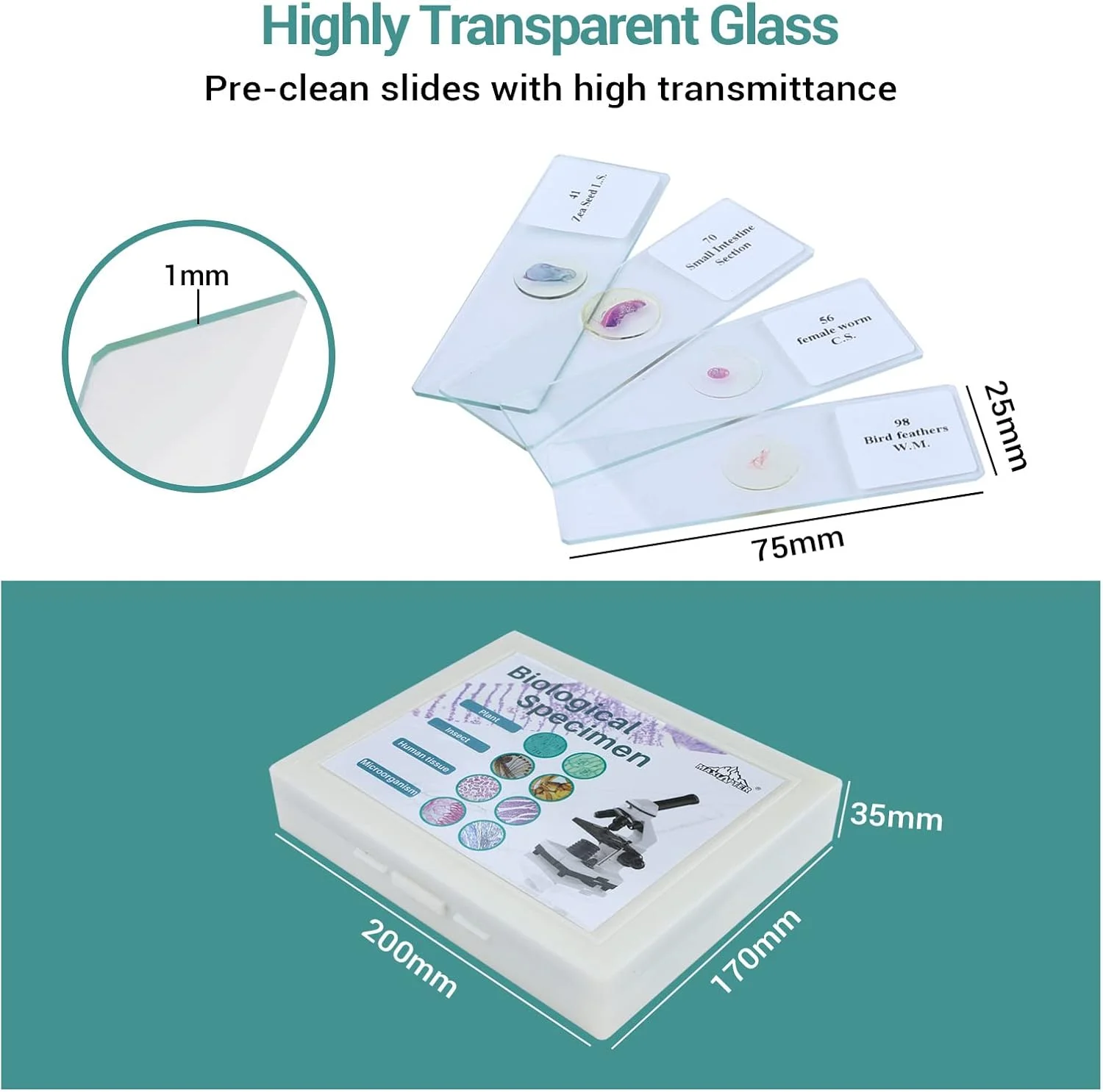 اسلایدهای میکروسکوپ آماده مکس لپتر 100 عددی برای نمونه های آزمایشگاهی زیست شناسی دانش آموزان، شامل حشرات، گیاهان، آموزش علوم، مناسب برای آموزش در منزل