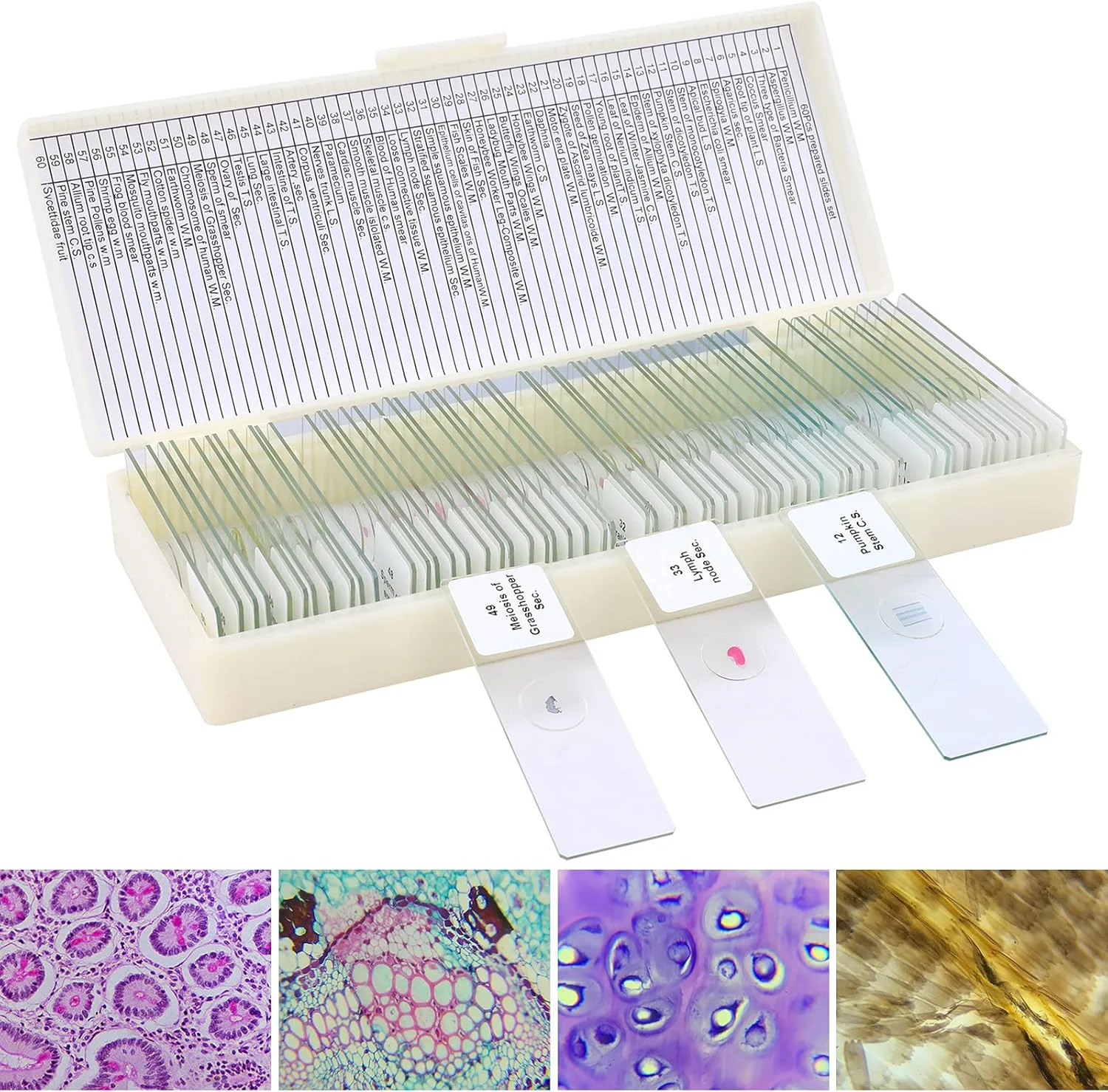 مجموعه 60 اسلاید میکروسکوپ LAKWAR با نمونه برای کودکان و بزرگسالان، اسلایدهای آماده میکروسکوپ برای آموزش میکروبیولوژی