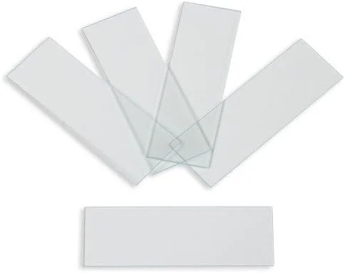 اسلایدهای میکروسکوپ Karter Scientific 206A2، لبه های سنگ خورده، ساده، گوشه های 90 درجه، 3x1 (بسته 72 عددی) توسط Karter Scientific