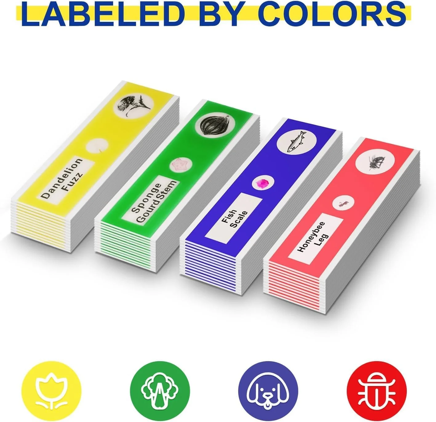 اسلایدهای میکروسکوپ آماده Jiusion، 48 عدد، نمونه حیوانات، حشرات، گیاهان، گل ها، نمونه بیولوژیکی، اسلاید میکروسکوپ استریو برای کودکان، دانش آموزان، آموزش روشنگری