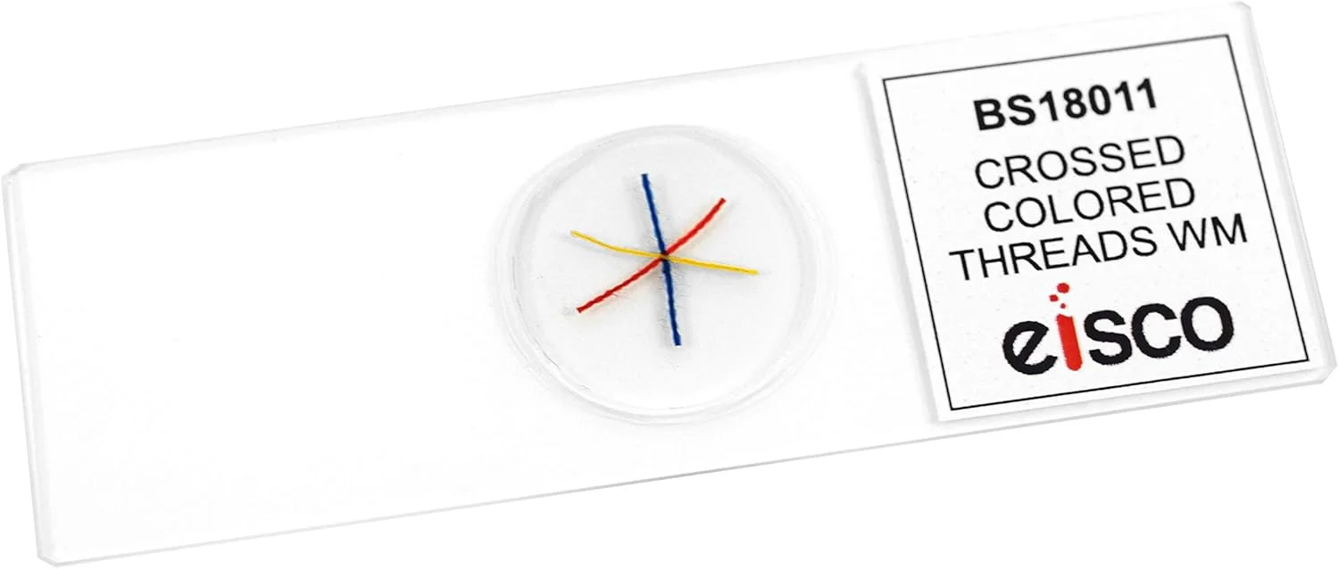 اسلاید میکروسکوپ نخ های رنگی متقاطع - نمونه کامل - 75x25 میلی متر - میکروسکوپ مقدماتی - آزمایشگاه ها