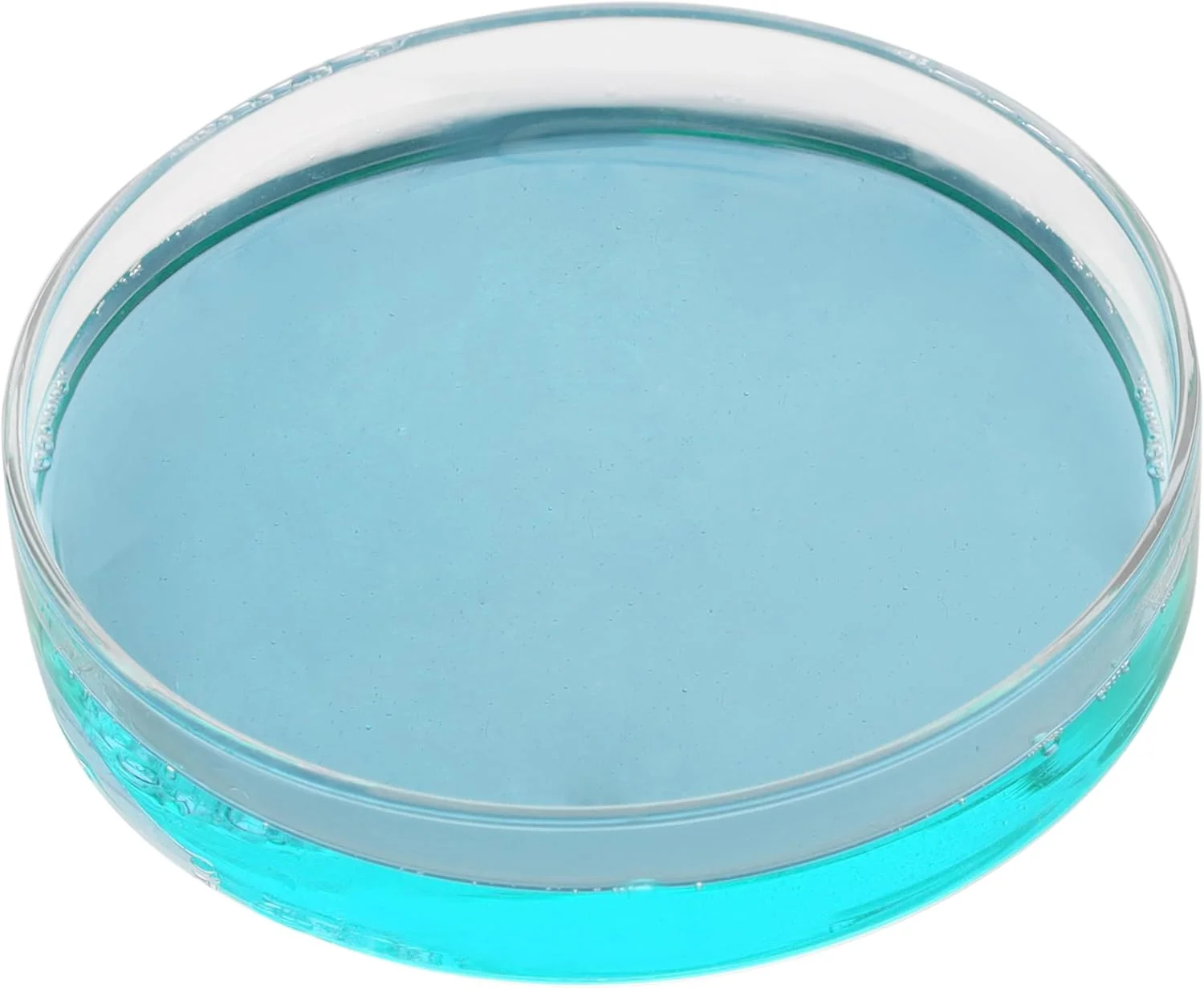 ظرف پتری ممتاز آزمایشگاهی Eisico، شیشه بوروسیلیکات سنگین، قطر 100 میلی متر، ارتفاع 17 میلی متر